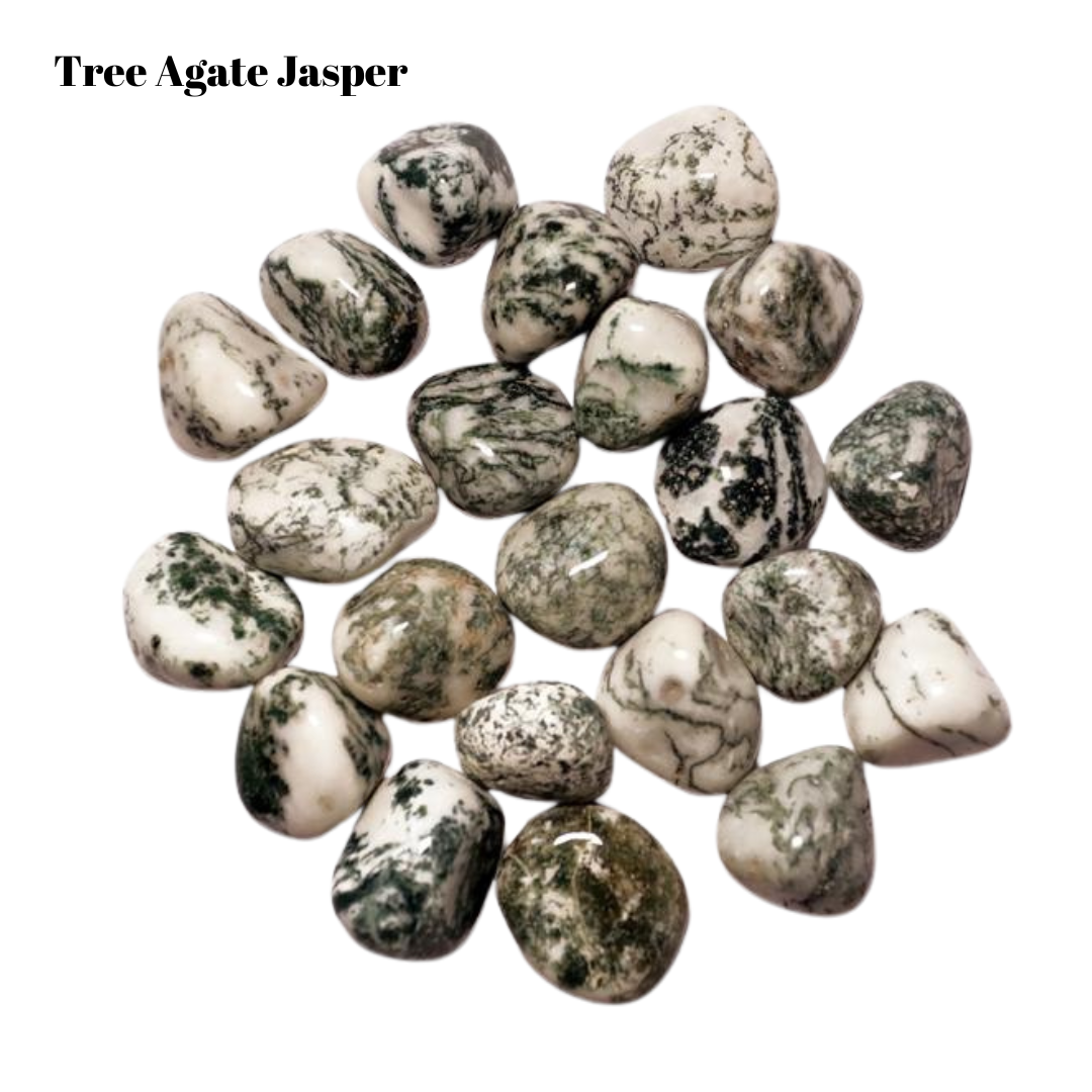 Tree Agate Tumbled Stones – 1 lb Bulk Bag | Polished White & Green Patterned Agate