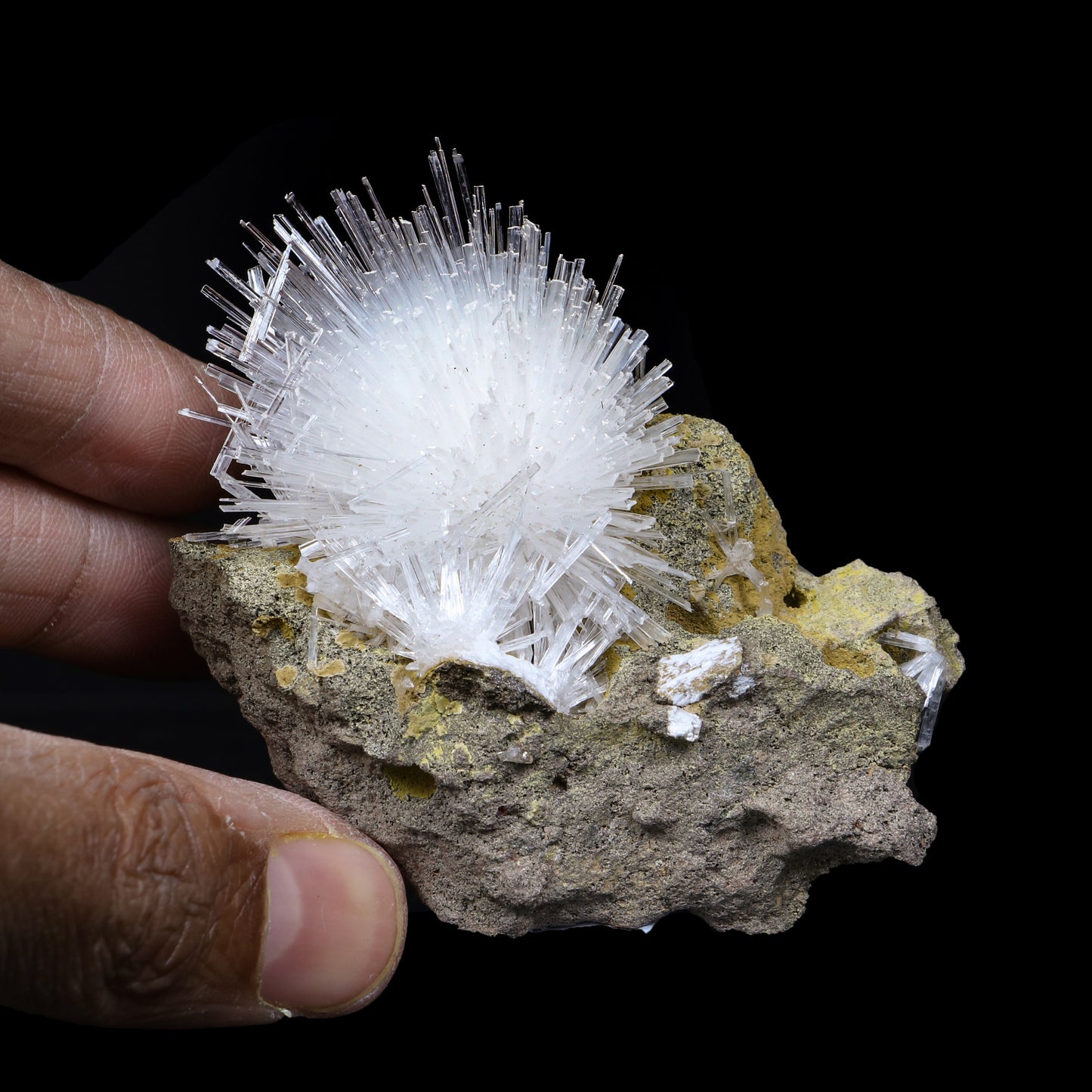 Fine Scolecite Spray Flower on Basalt Matrix - Collector’s Zeolite Specimen from Nashik, India # B 7193