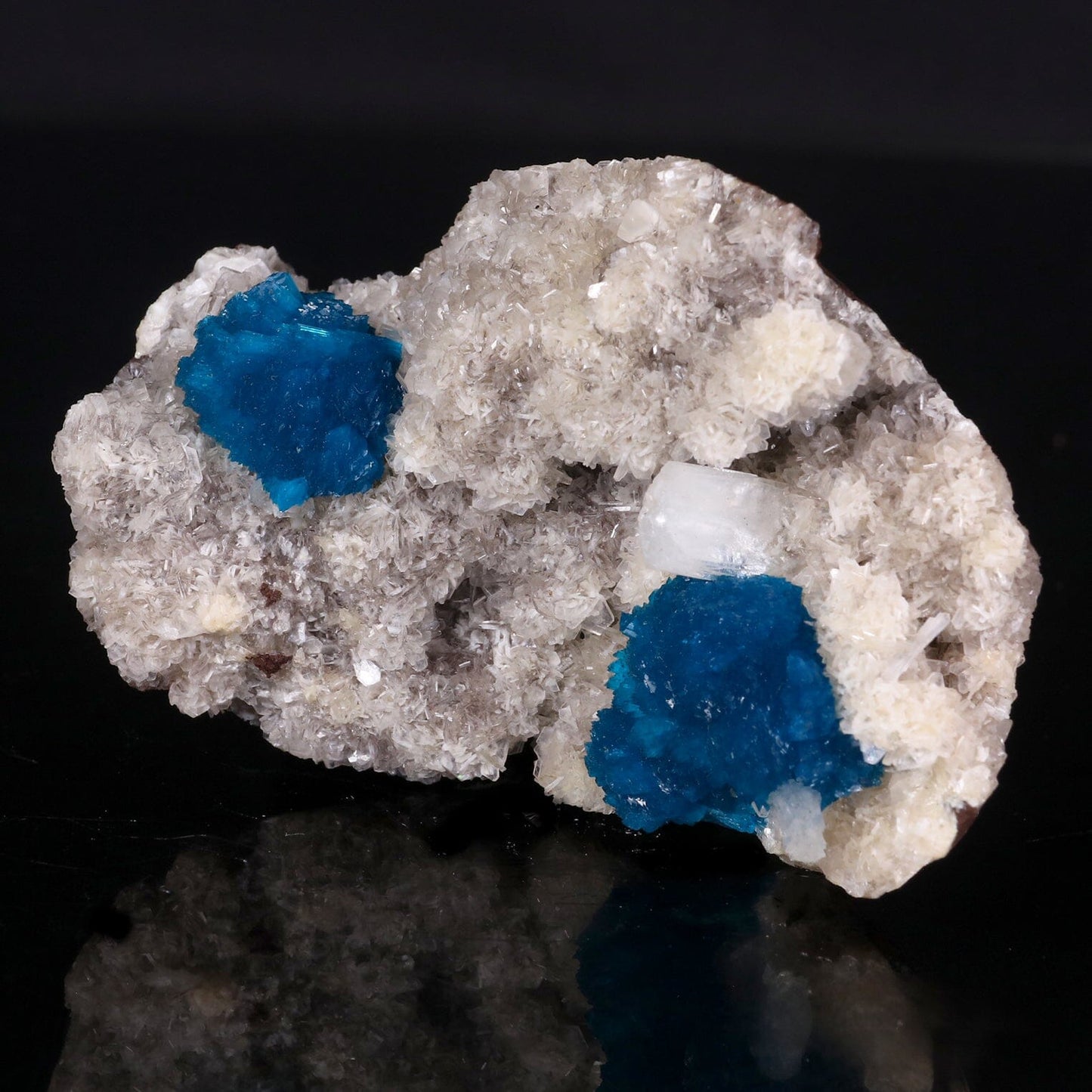 Cavansite on Heulandite (Rare Find) Natural Mineral Specimen # B 6849 Cavansite Superb Minerals