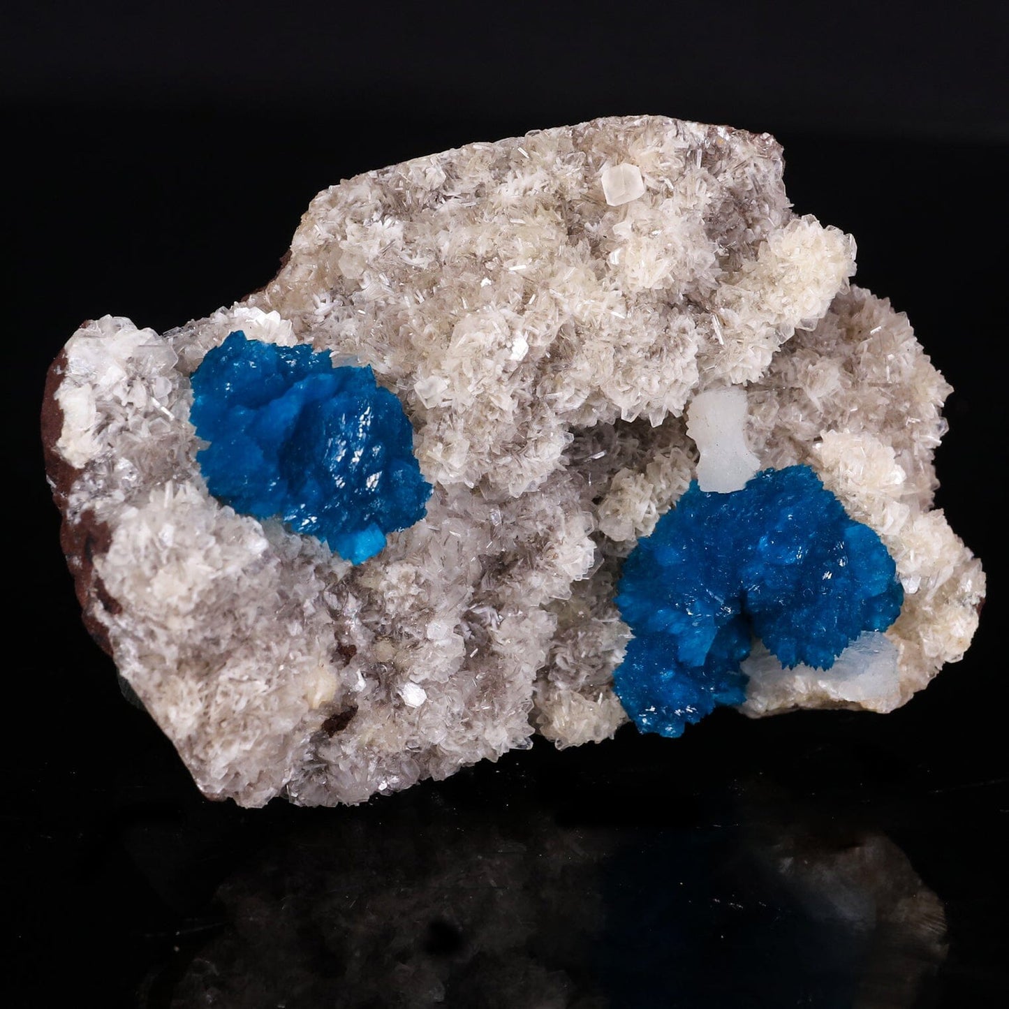 Cavansite on Heulandite (Rare Find) Natural Mineral Specimen # B 6849 Cavansite Superb Minerals
