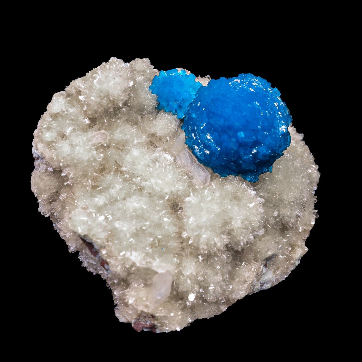 Cavansite on Heulandite (Rare Find) Natural Mineral Specimen # B 6916 Cavansite Superb Minerals