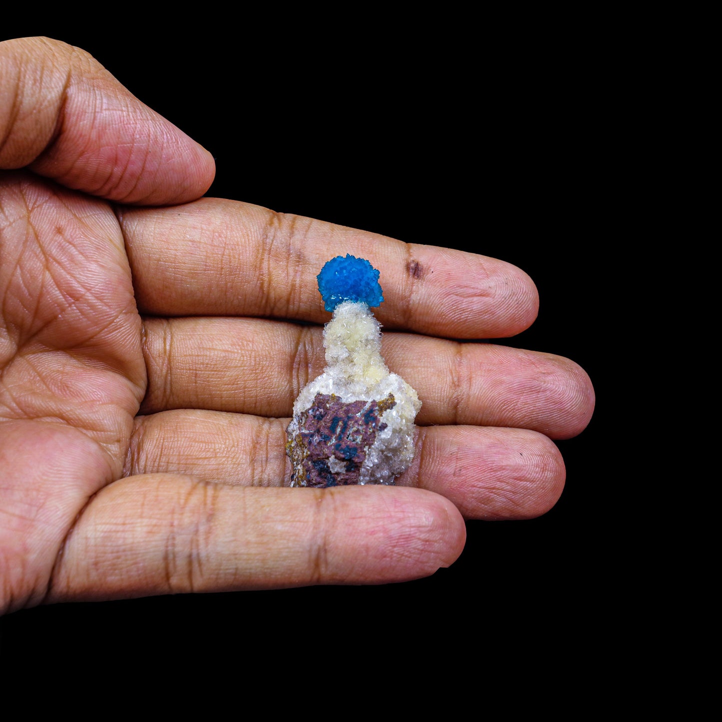 Cavansite on Heulandite (Rare Find) Natural Mineral Specimen # B 6950 Cavansite Superb Minerals