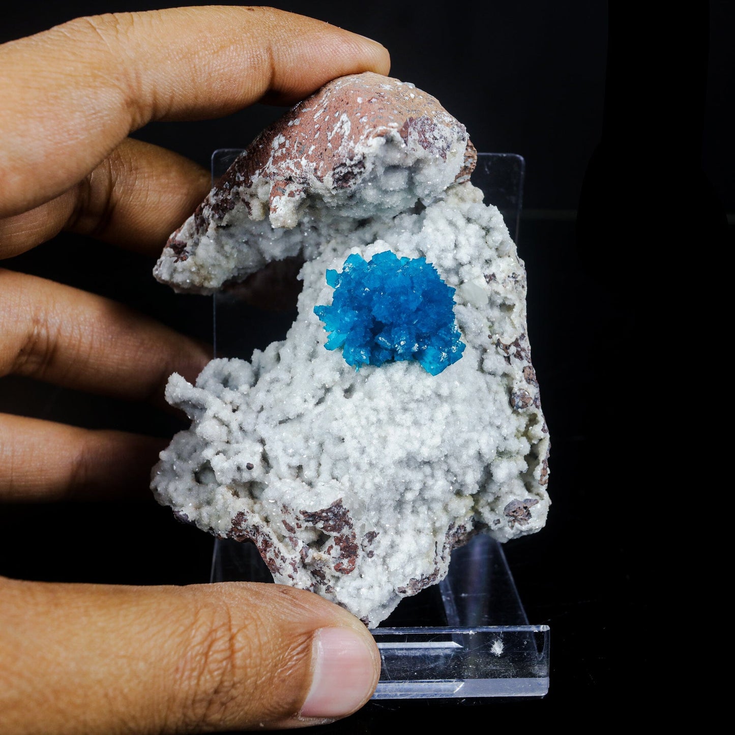 Cavansite on Heulandite (Rare Find) Natural Mineral Specimen # B 7040 Cavansite Superb Minerals