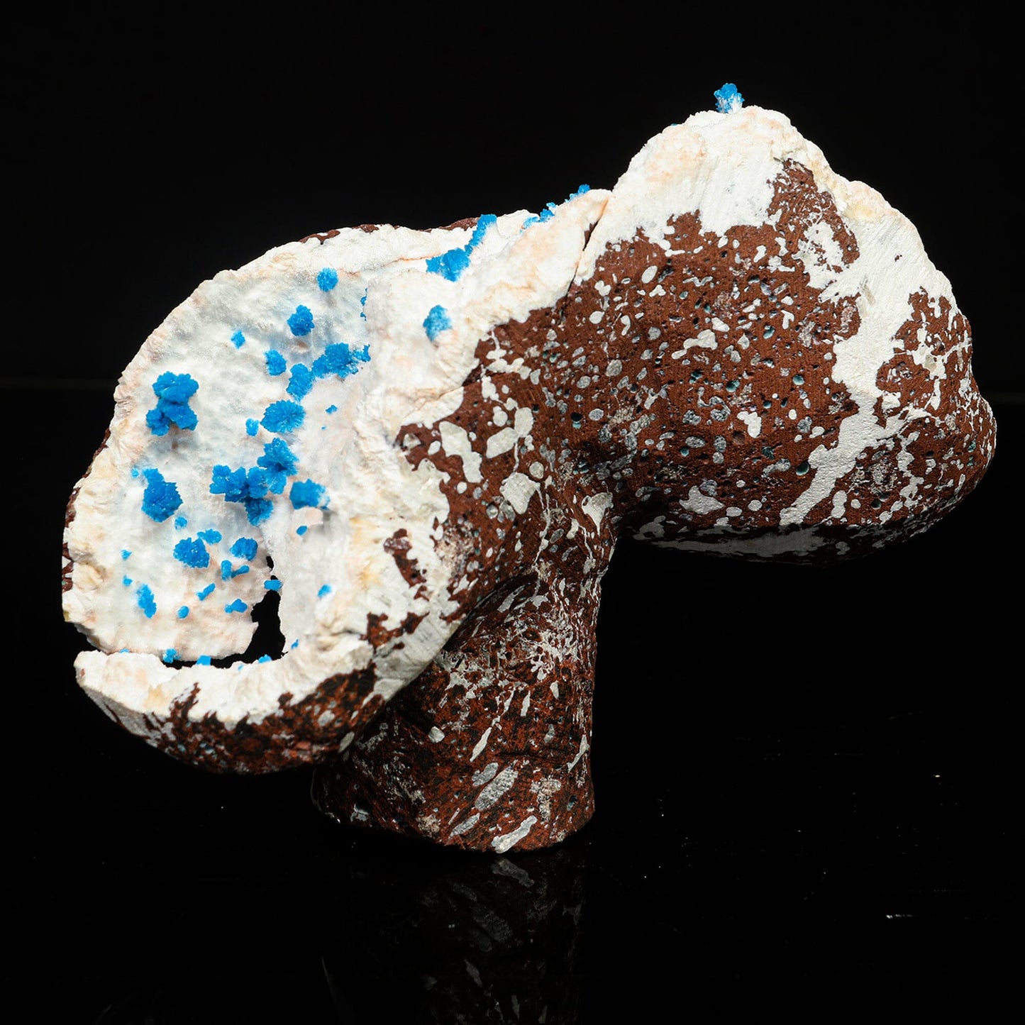 Cavansite on Modernite (Rare Find) Natural Mineral Specimen # B 6759 Cavansite Superb Minerals