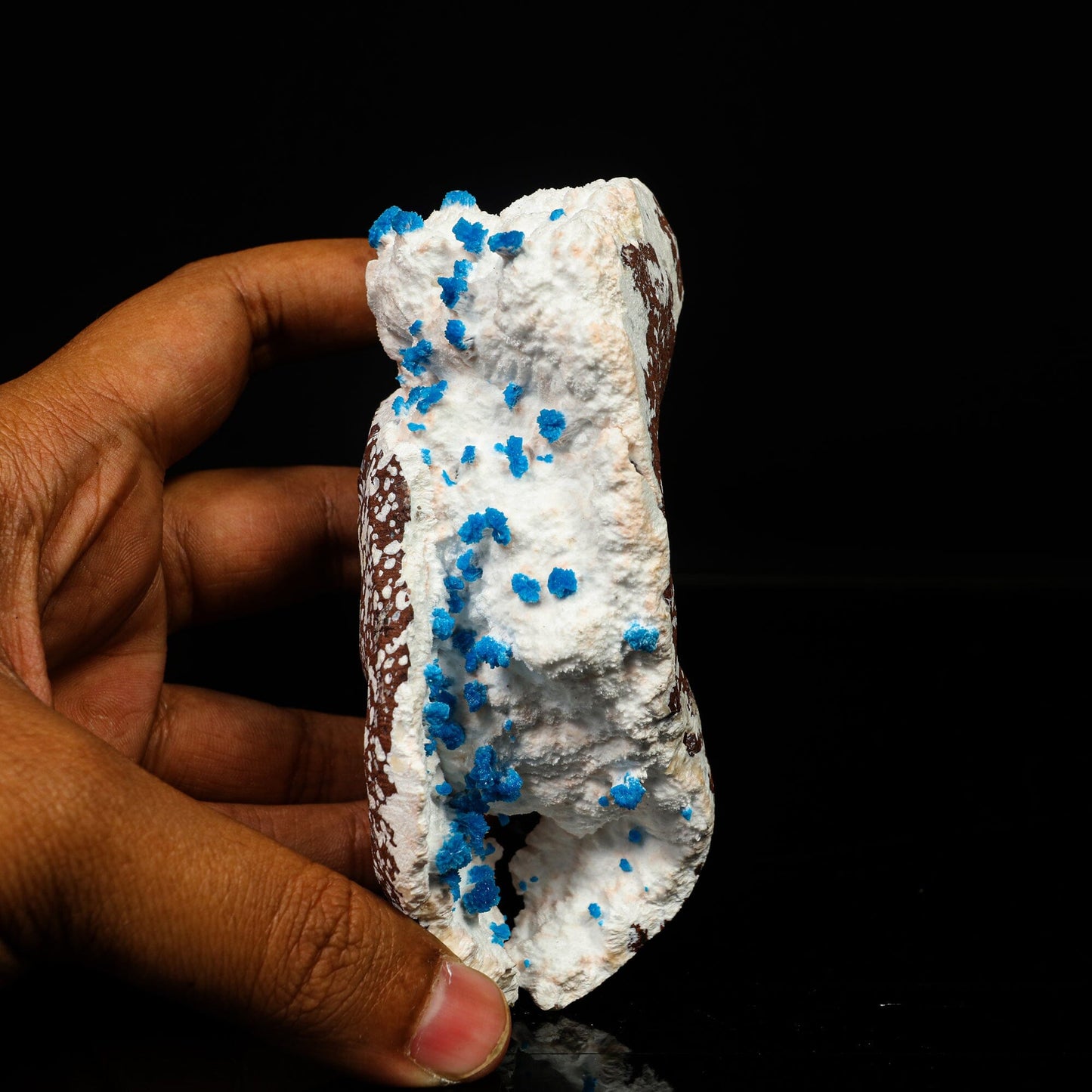 Cavansite on Modernite (Rare Find) Natural Mineral Specimen # B 6759 Cavansite Superb Minerals