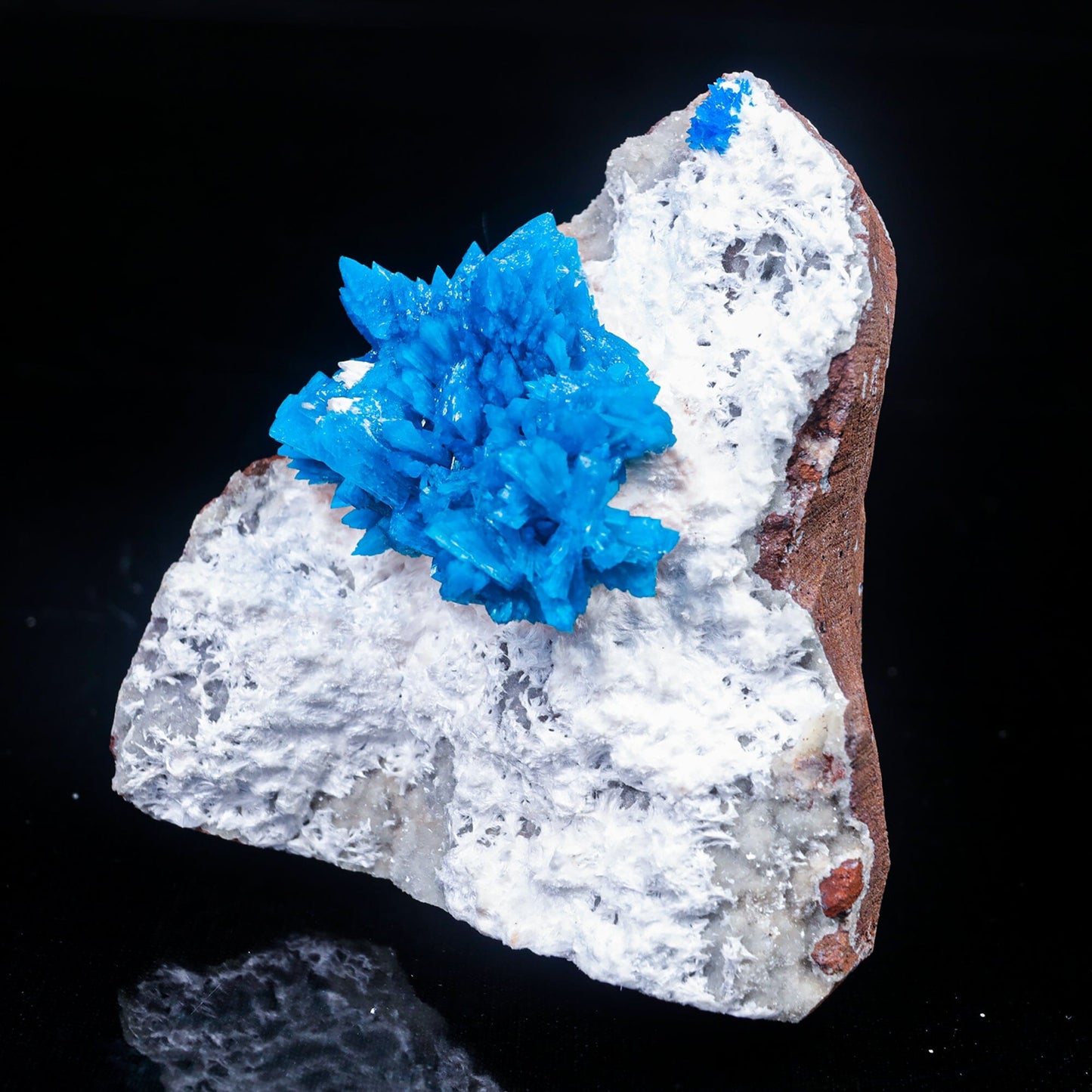 Cavansite on Mordenite (Rare Find) Natural Mineral Specimen # B 7023 Cavansite Superb Minerals
