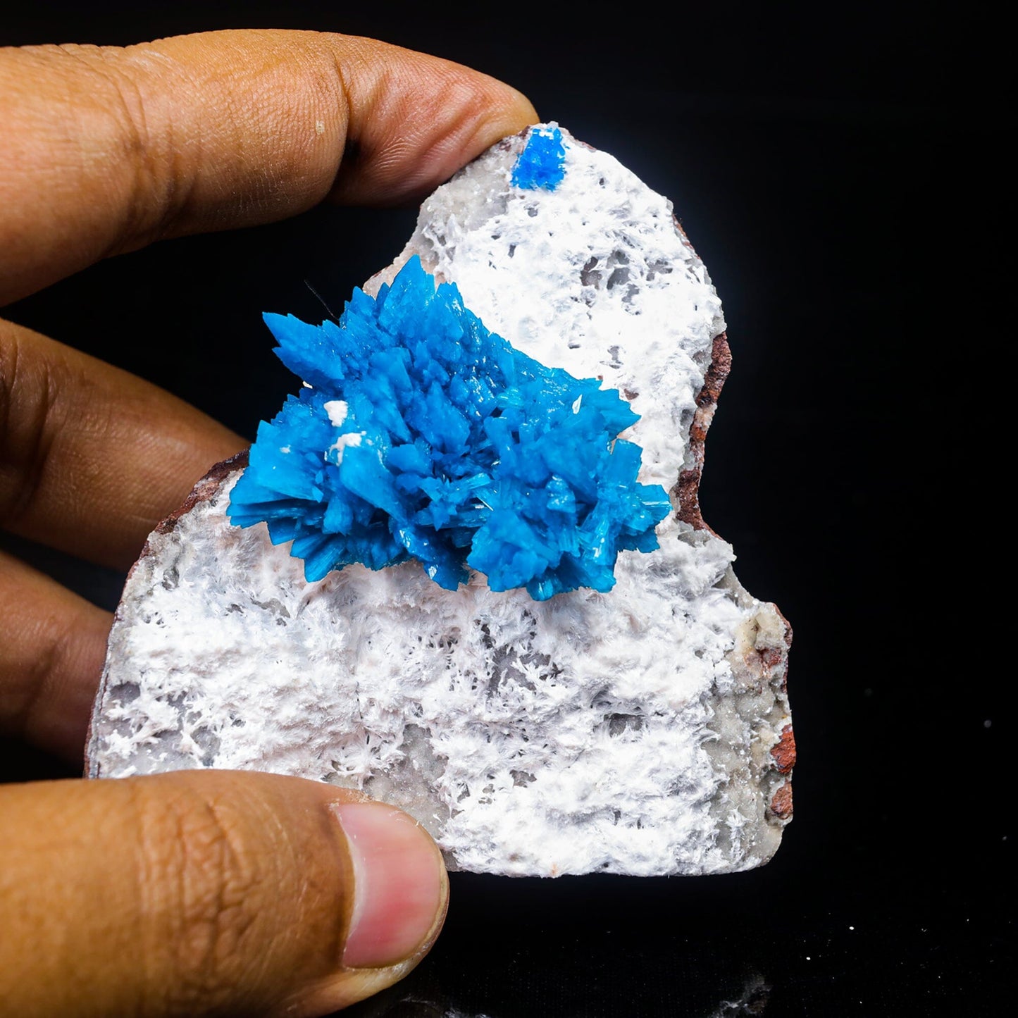 Cavansite on Mordenite (Rare Find) Natural Mineral Specimen # B 7023 Cavansite Superb Minerals