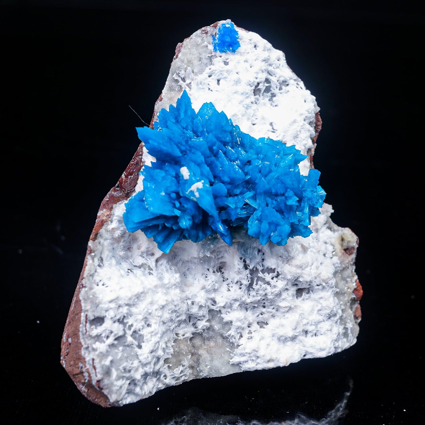 Cavansite on Mordenite (Rare Find) Natural Mineral Specimen # B 7023 Cavansite Superb Minerals
