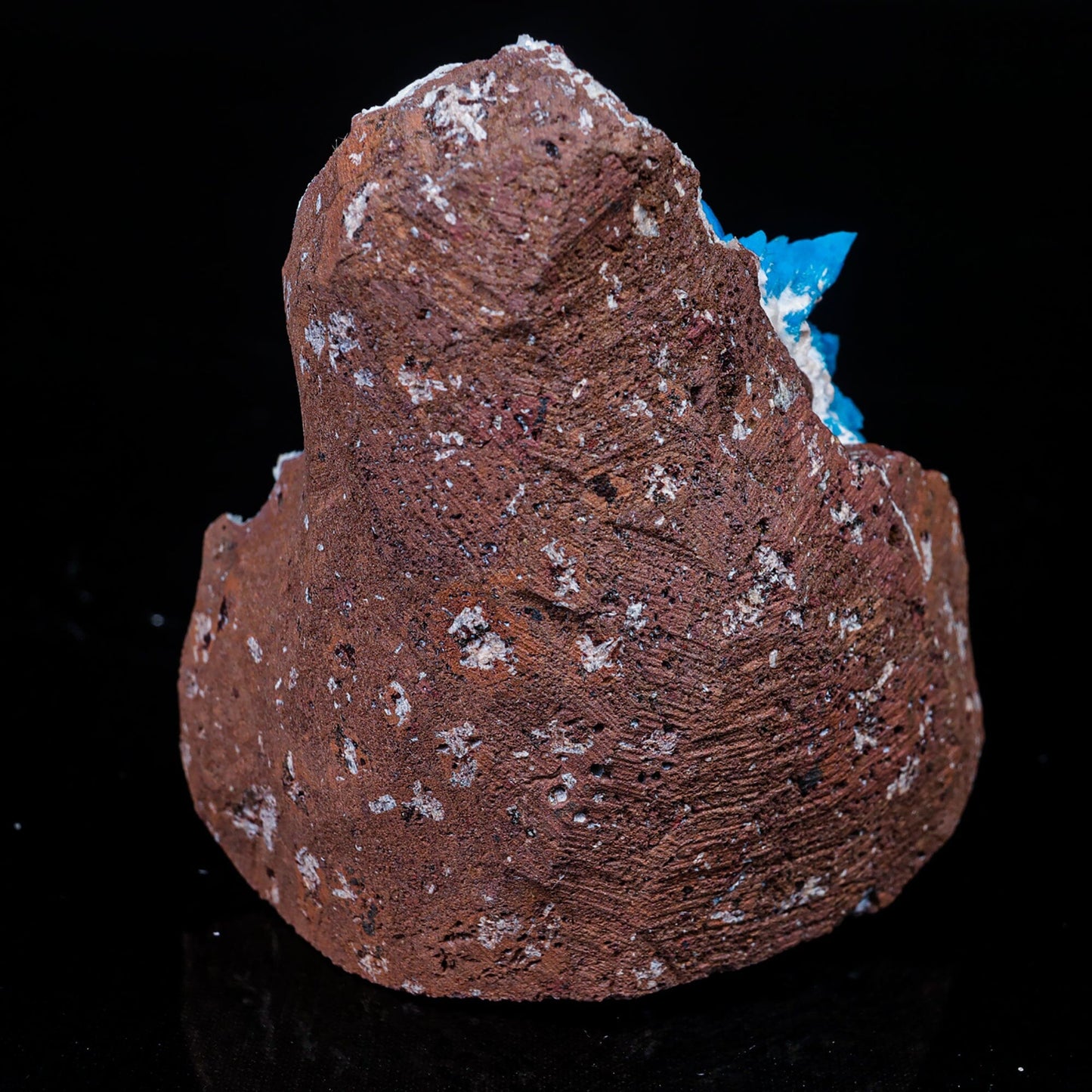 Cavansite on Mordenite (Rare Find) Natural Mineral Specimen # B 7023 Cavansite Superb Minerals