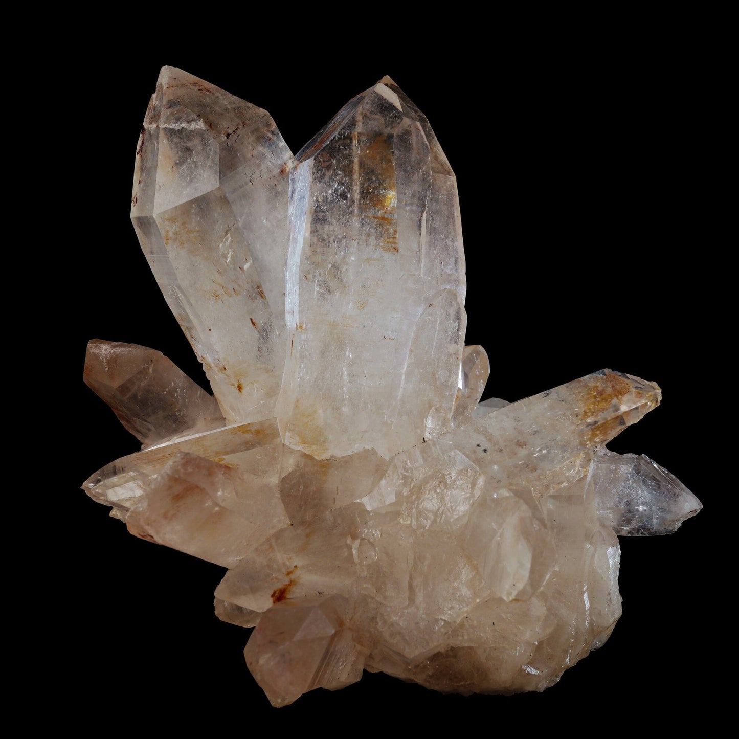Clear Himalayan Quartz Rare one Natural Mineral Specimen USA # B 6963 Quartz Superb Minerals