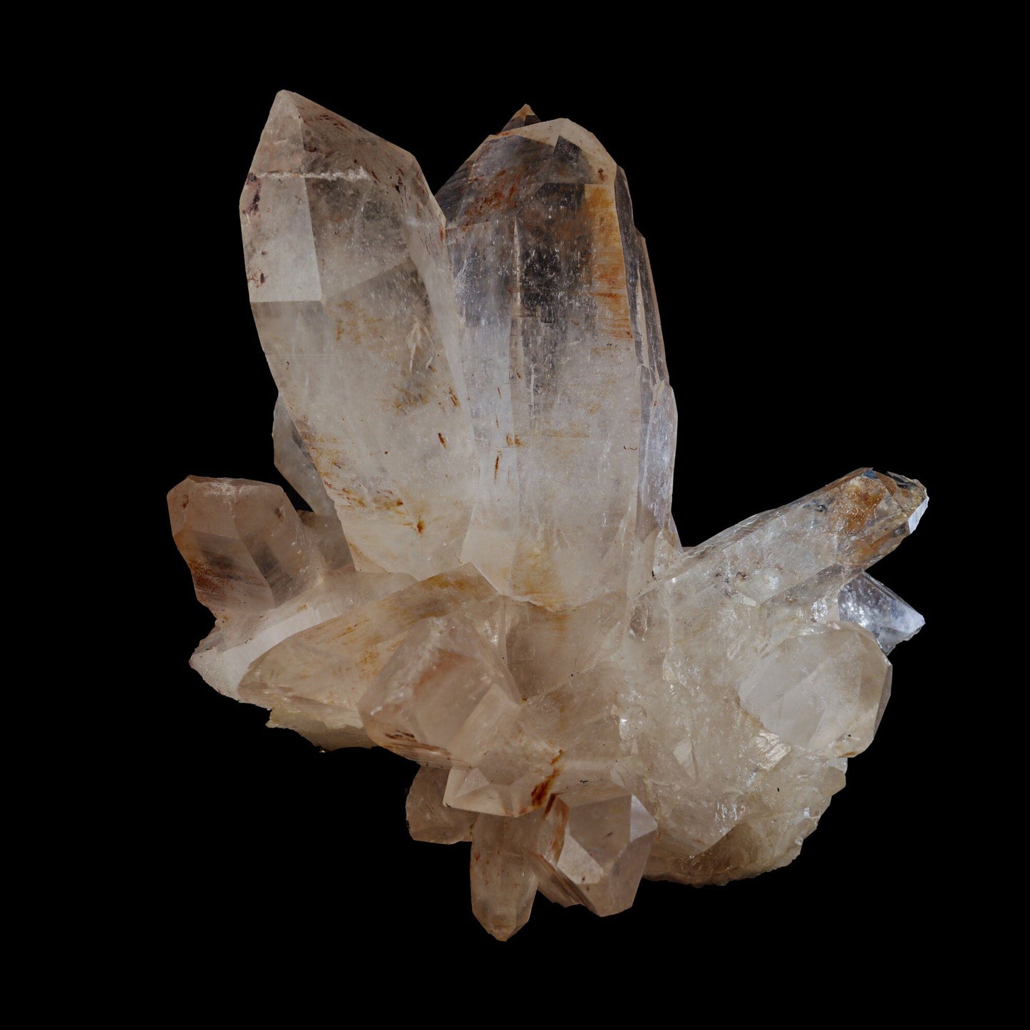 Clear Himalayan Quartz Rare one Natural Mineral Specimen USA # B 6963 Quartz Superb Minerals