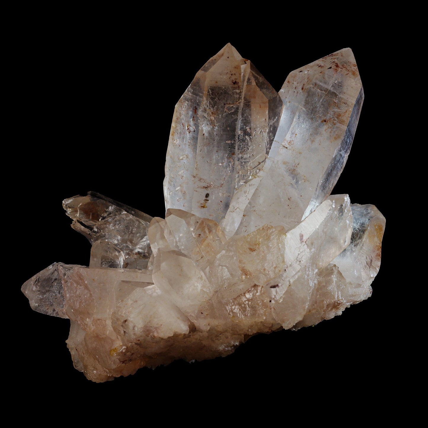 Clear Himalayan Quartz Rare one Natural Mineral Specimen USA # B 6963 Quartz Superb Minerals