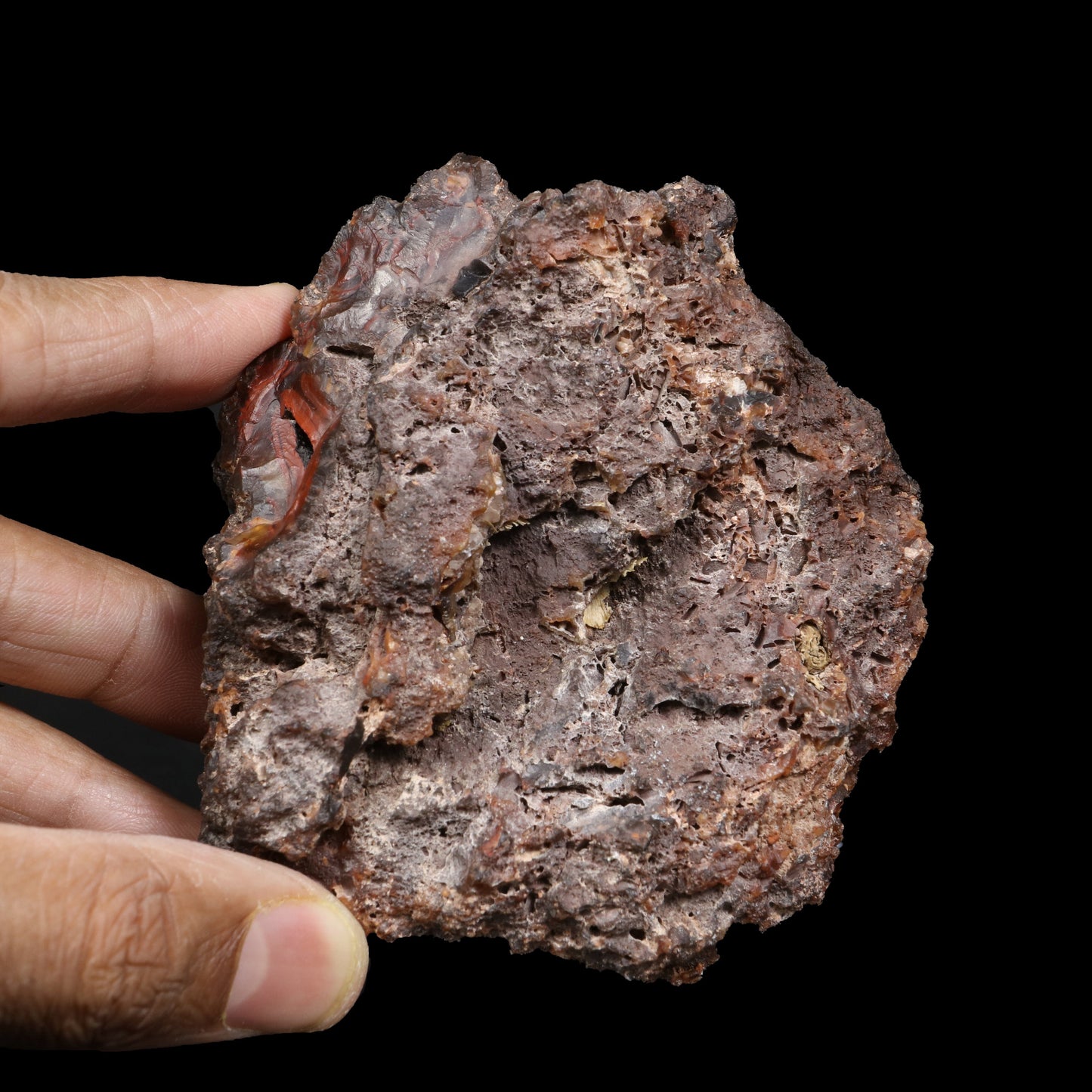 Crater Agate – Fluorescent Chalcedony Quartz Specimen from Chubut , Argentina (UV Reactive) # B 7182 Crater Agate Superb Minerals