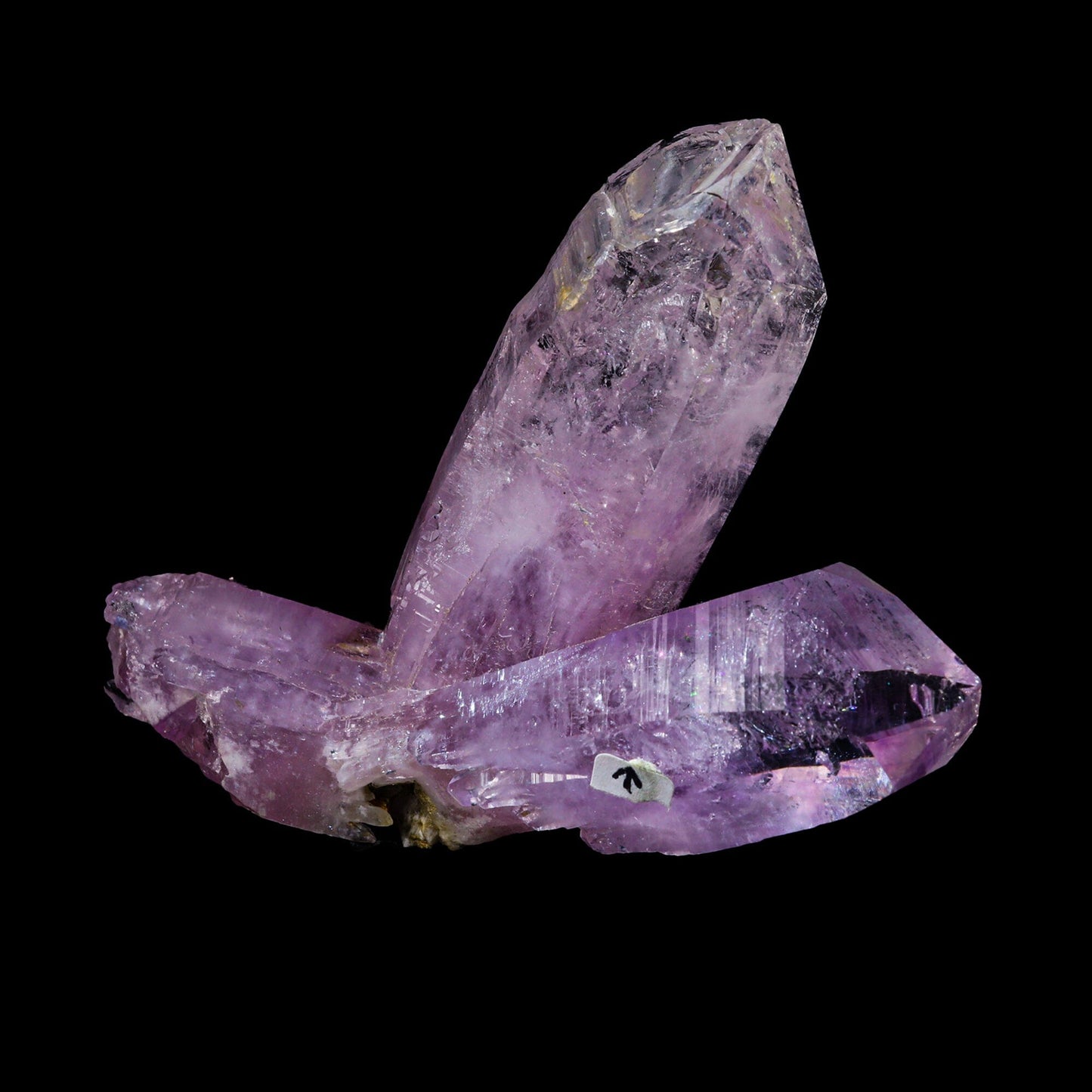 Enhydro Vera Cruz amethyst