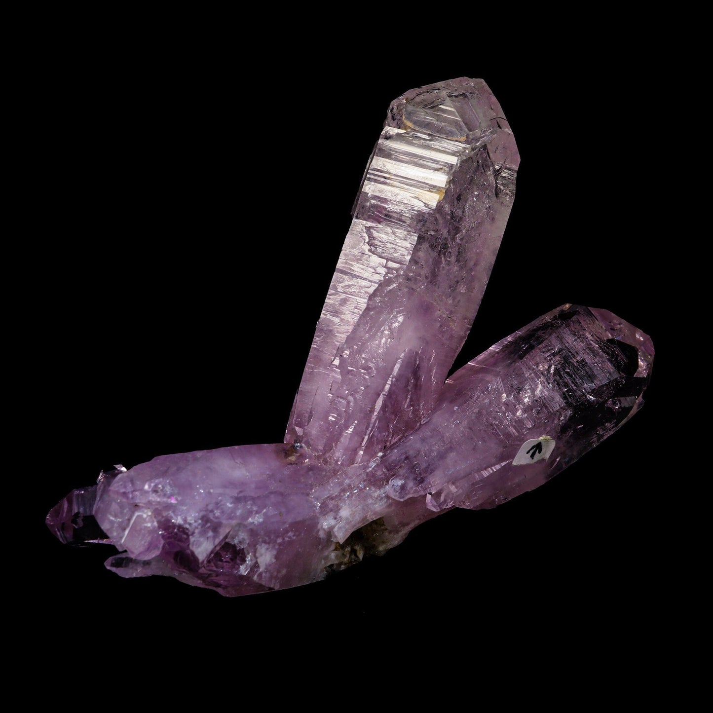 Enhydro Vera Cruz amethyst