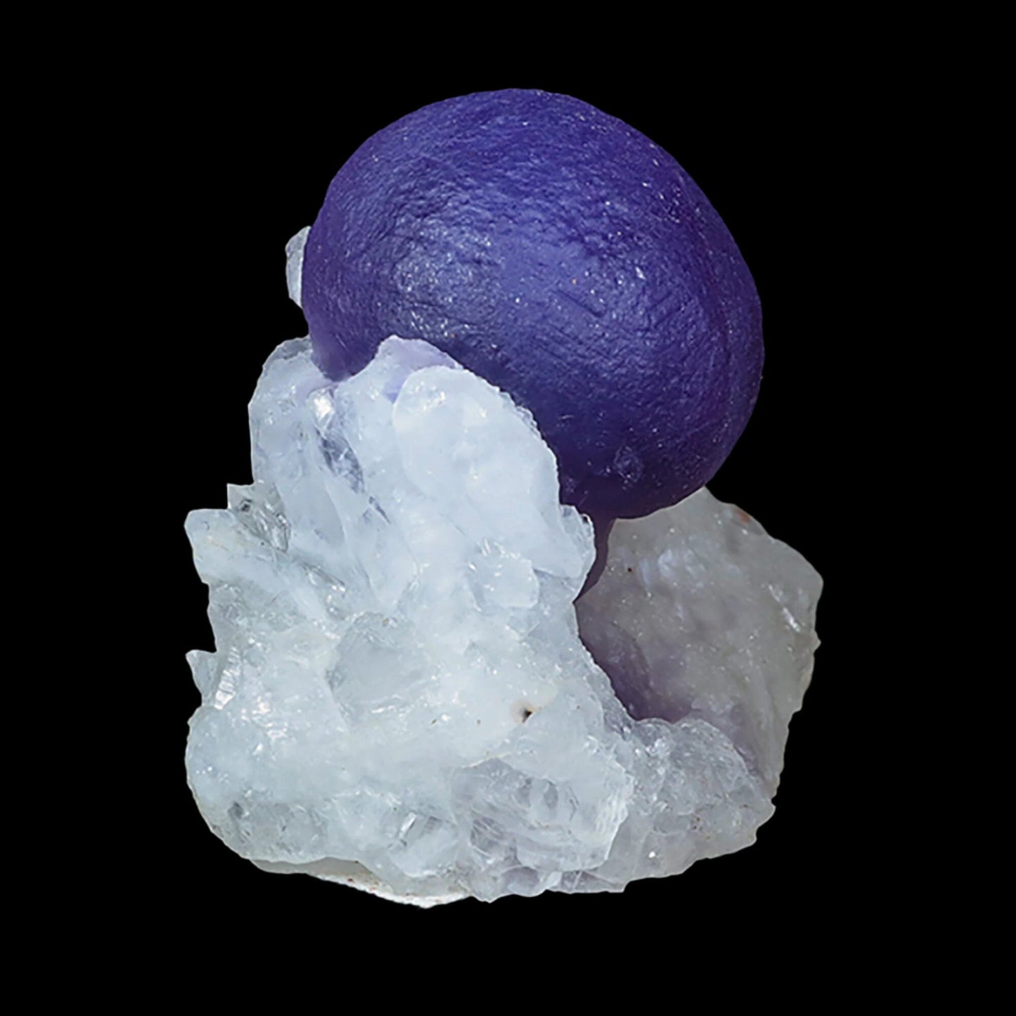 Extremely Rare Dark Purple Botryoidal Fluorite Natural Mineral Specimen – One-of-a-Kind World-Class Piece # B 7035