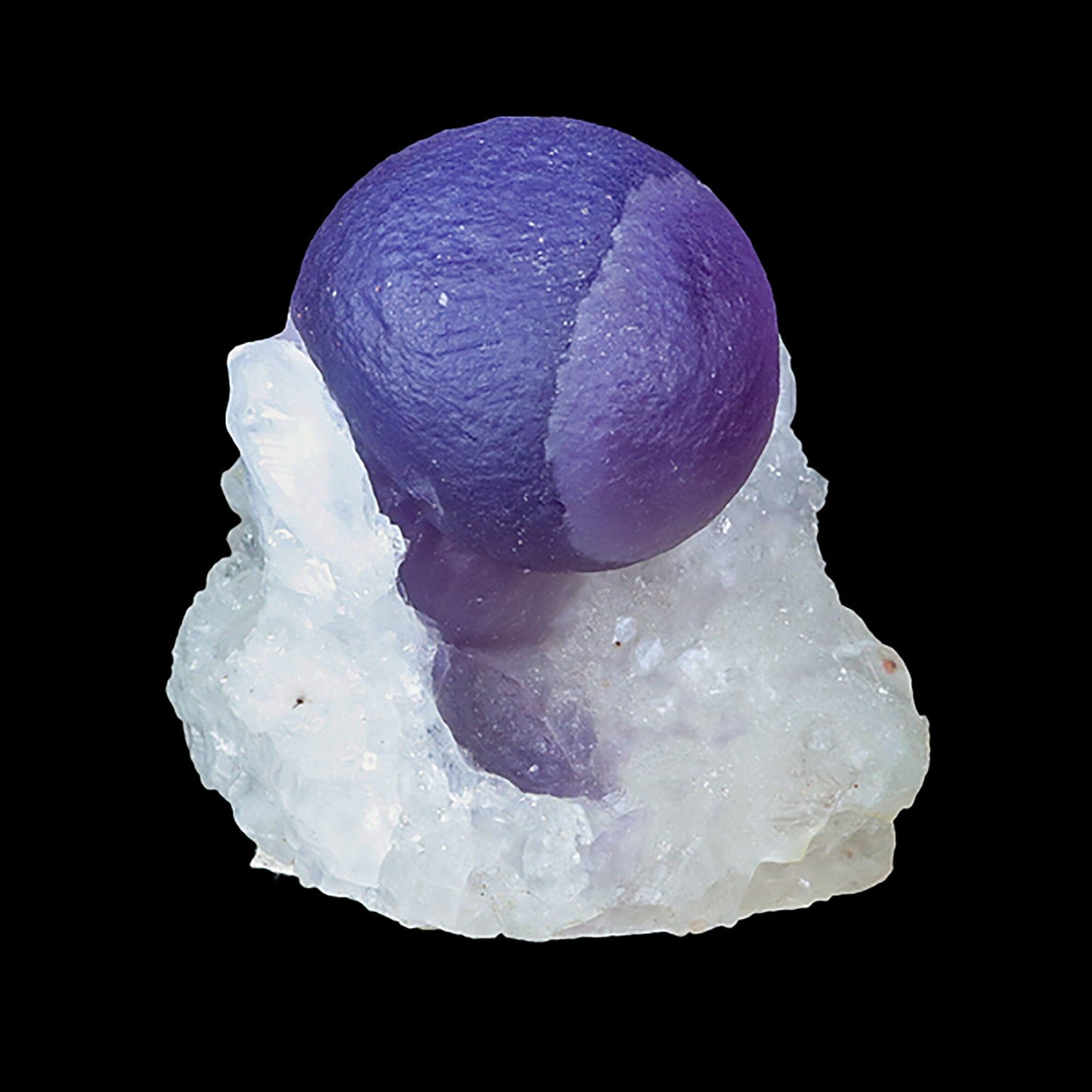 Extremely Rare Dark Purple Botryoidal Fluorite Natural Mineral Specimen – One-of-a-Kind World-Class Piece # B 7035