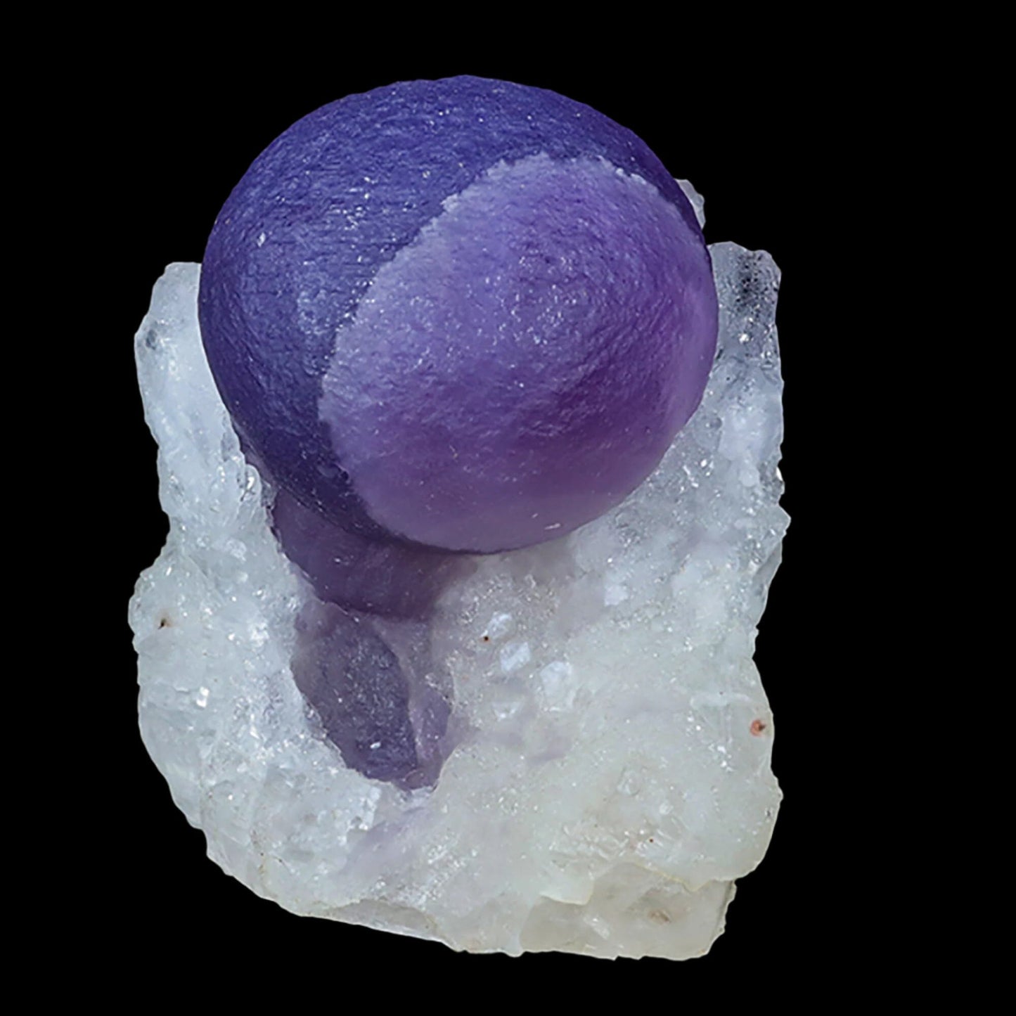 Extremely Rare Dark Purple Botryoidal Fluorite Natural Mineral Specimen – One-of-a-Kind World-Class Piece # B 7035 Thomsonite Superb Minerals