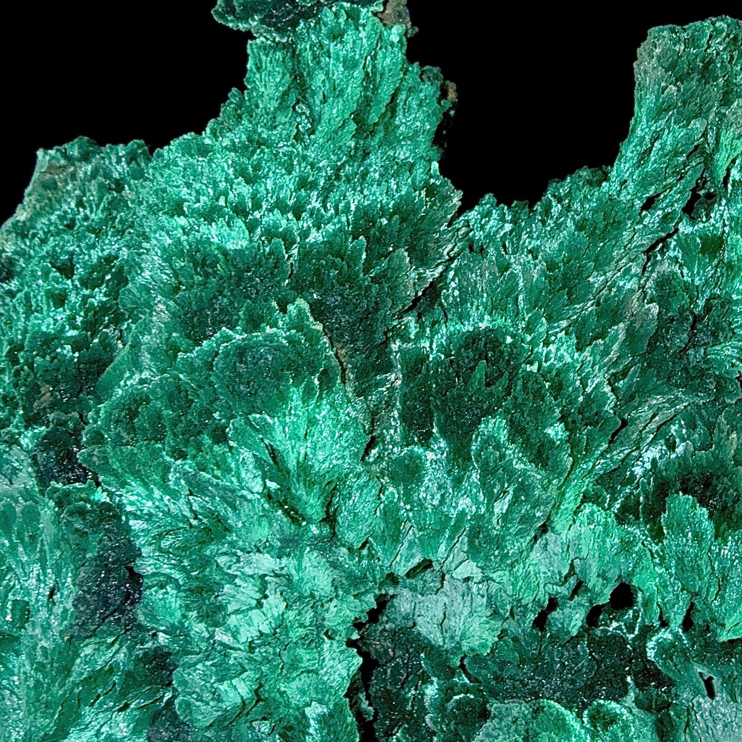 Fibrous Malachite | SELF STANDING | High Quality Mineral | Superb Minerals | Fine Minerals Malachite Superb Minerals