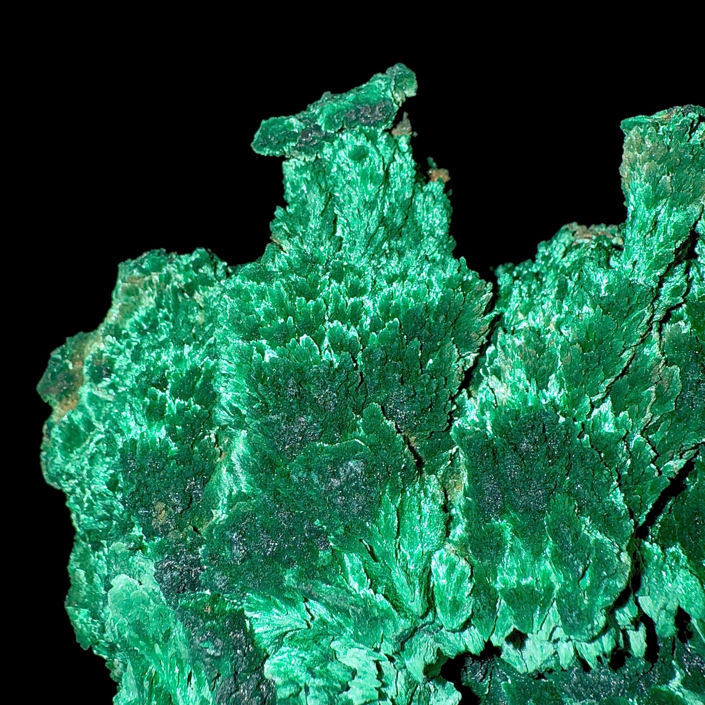 Fibrous Malachite | SELF STANDING | High Quality Mineral | Superb Minerals | Fine Minerals Malachite Superb Minerals