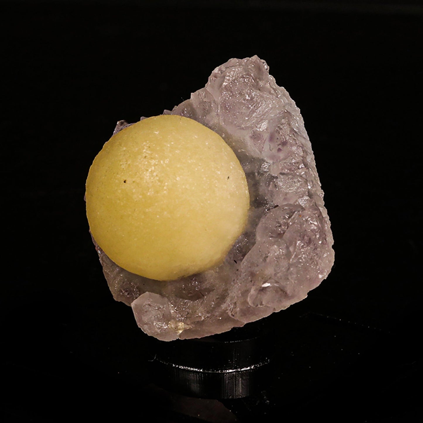 Fluorite Botridoal on Amethyst Natural Mineral Specimen # B 6816 Fluorite Superb Minerals
