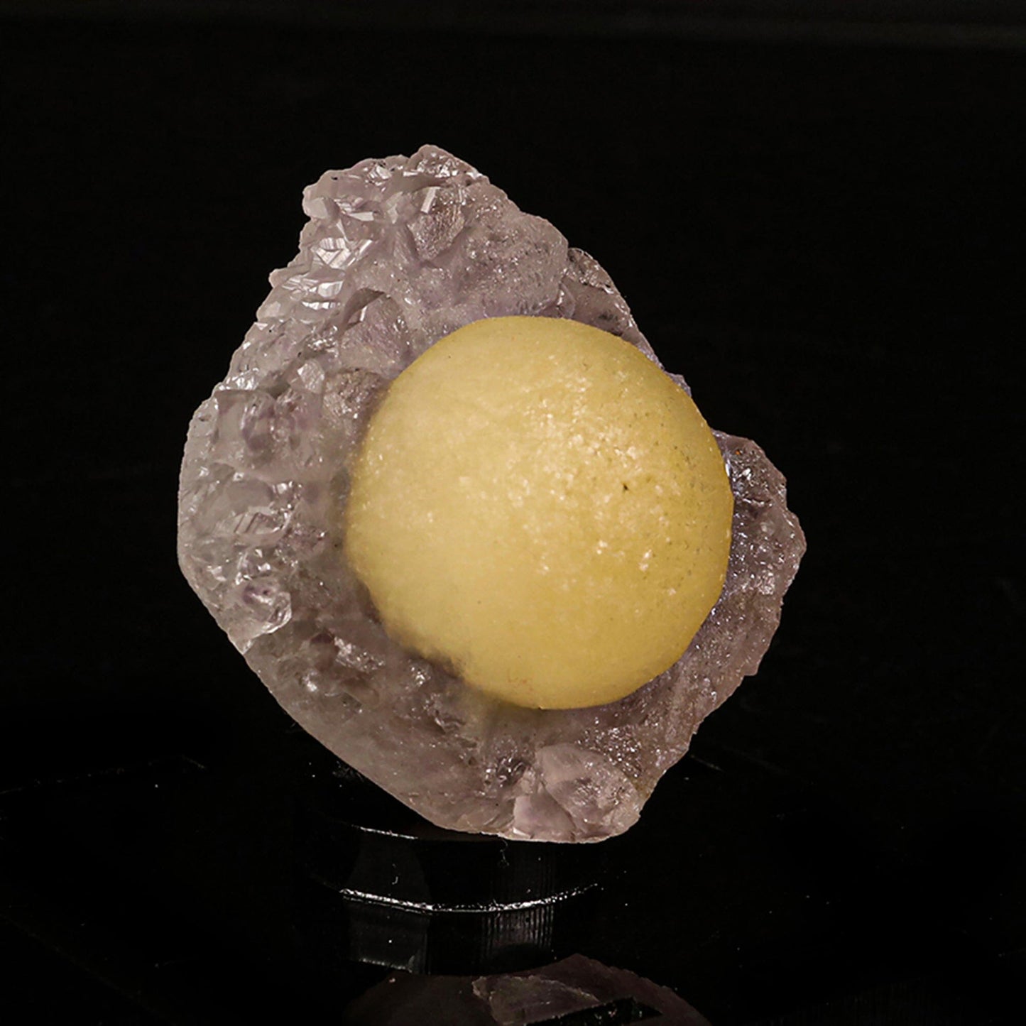 Fluorite Botridoal on Amethyst Natural Mineral Specimen # B 6816 Fluorite Superb Minerals