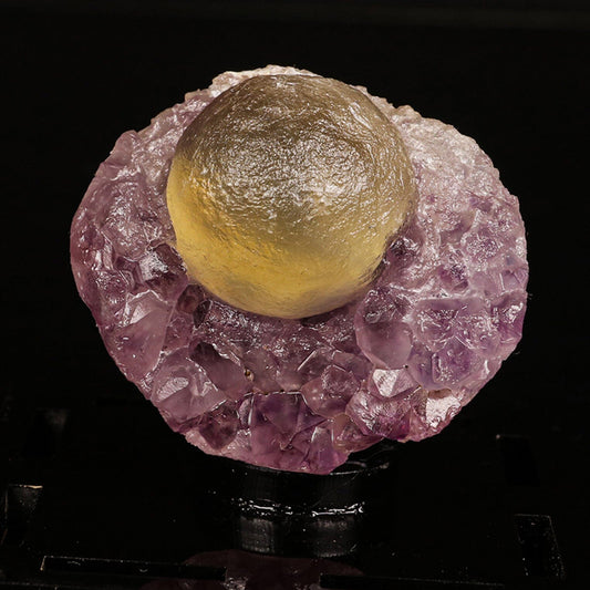 Fluorite Botridoal on Amethyst Natural Mineral Specimen # B 6823 Fluorite Superb Minerals 