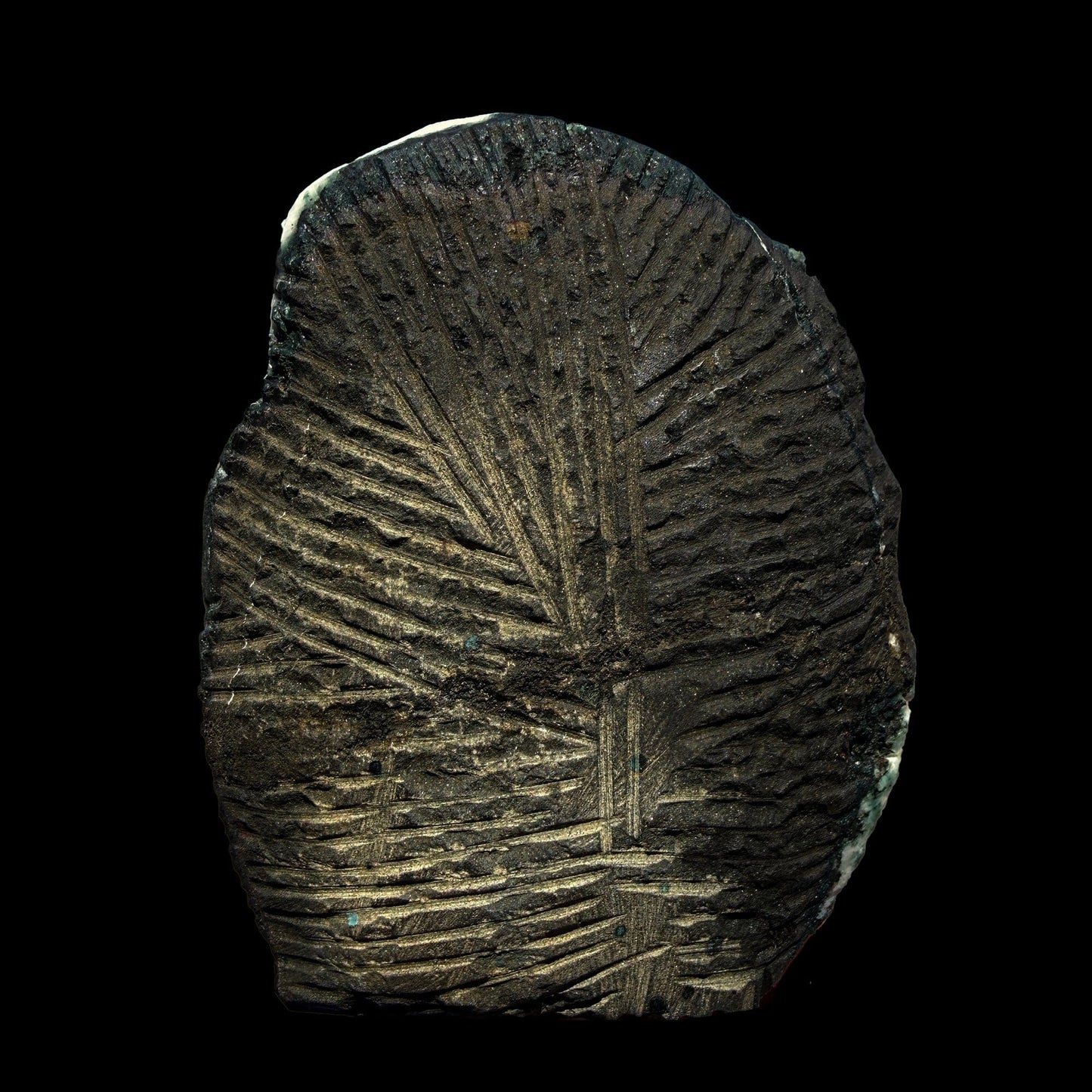 Green Apophyllite Crystal Cluster on Chalcedony Matrix – Rare Indian Zeolite Mineral Specimen # DKT51 Apophyllite Superb Minerals