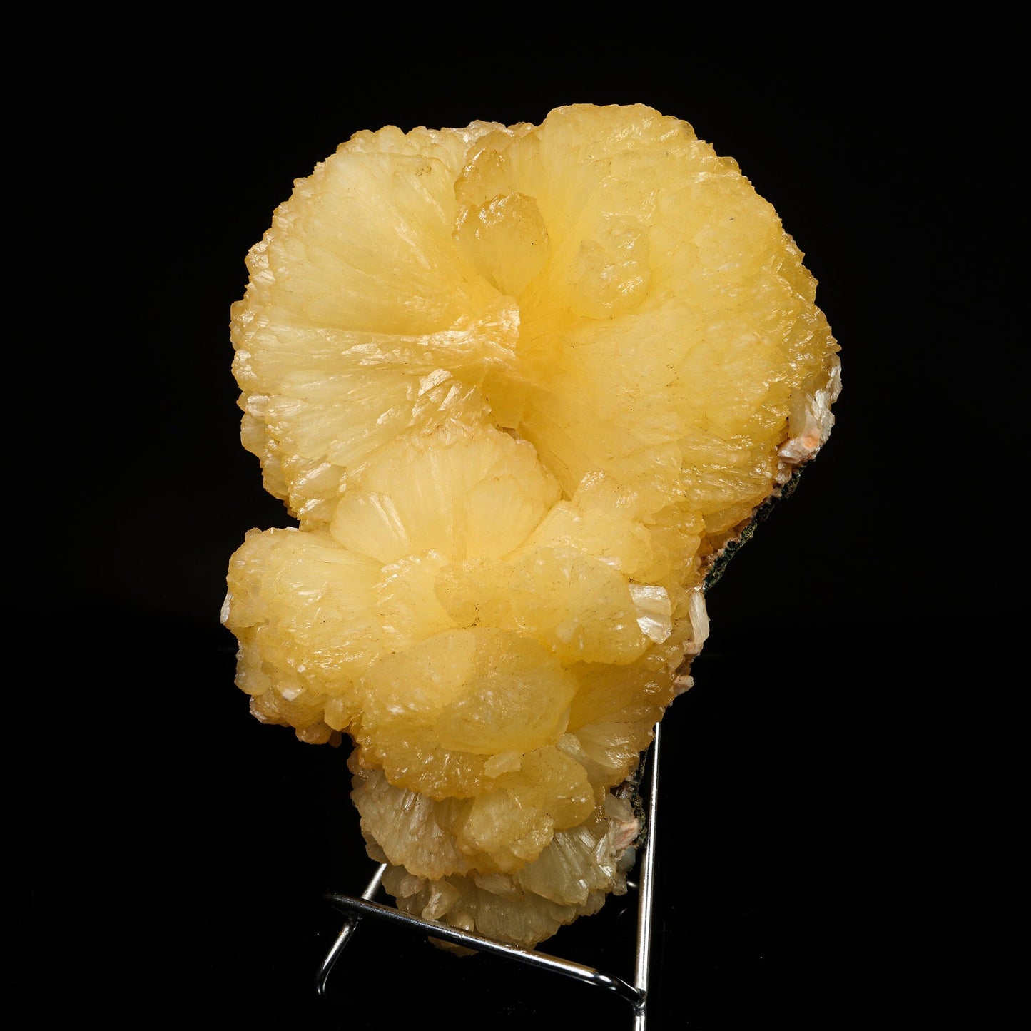 Huge Stilbite 'Bow-Tie' Natural Mineral Specimen # B 6776 Stilbite Superb Minerals 