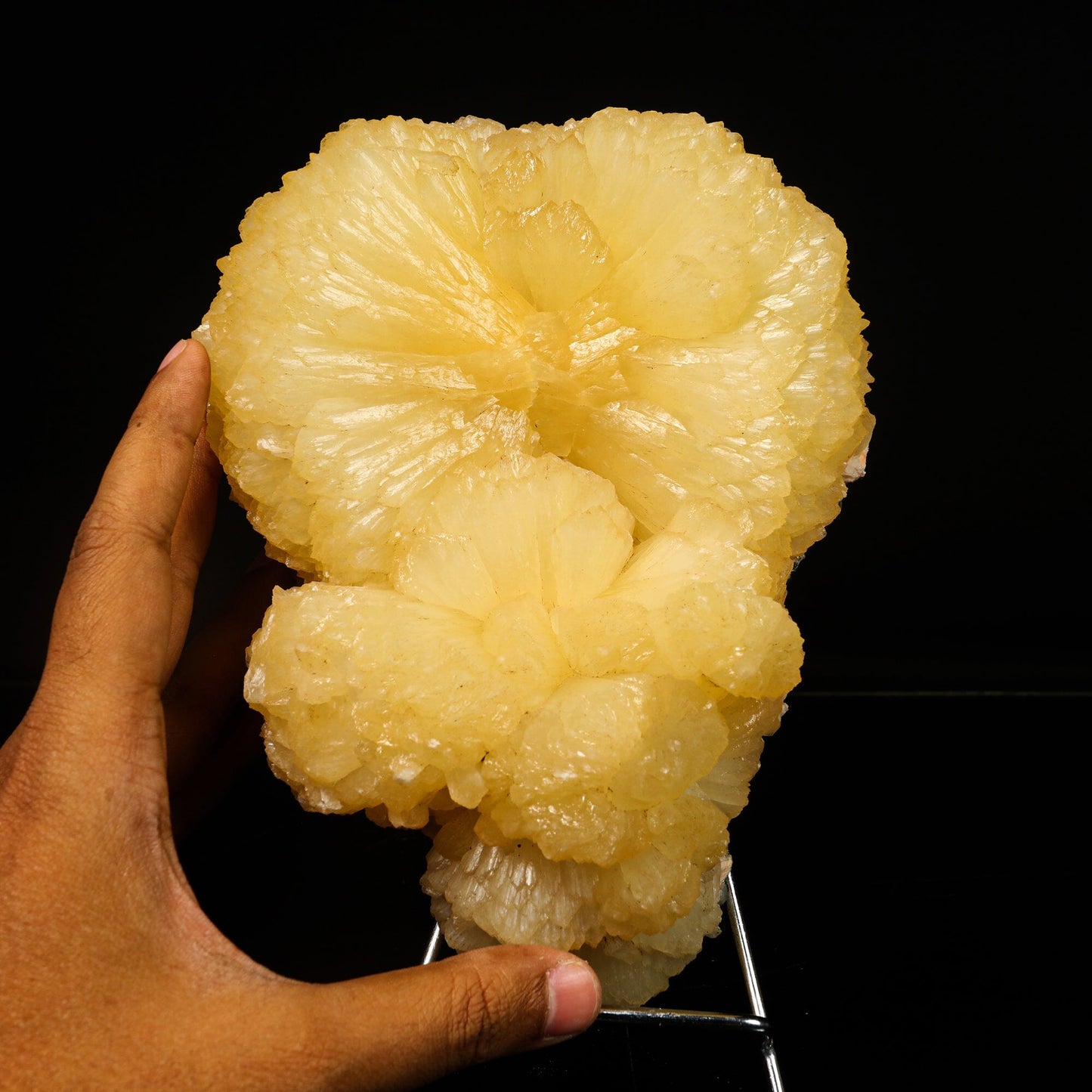 Huge Stilbite 'Bow-Tie' Natural Mineral Specimen # B 6776 Stilbite Superb Minerals