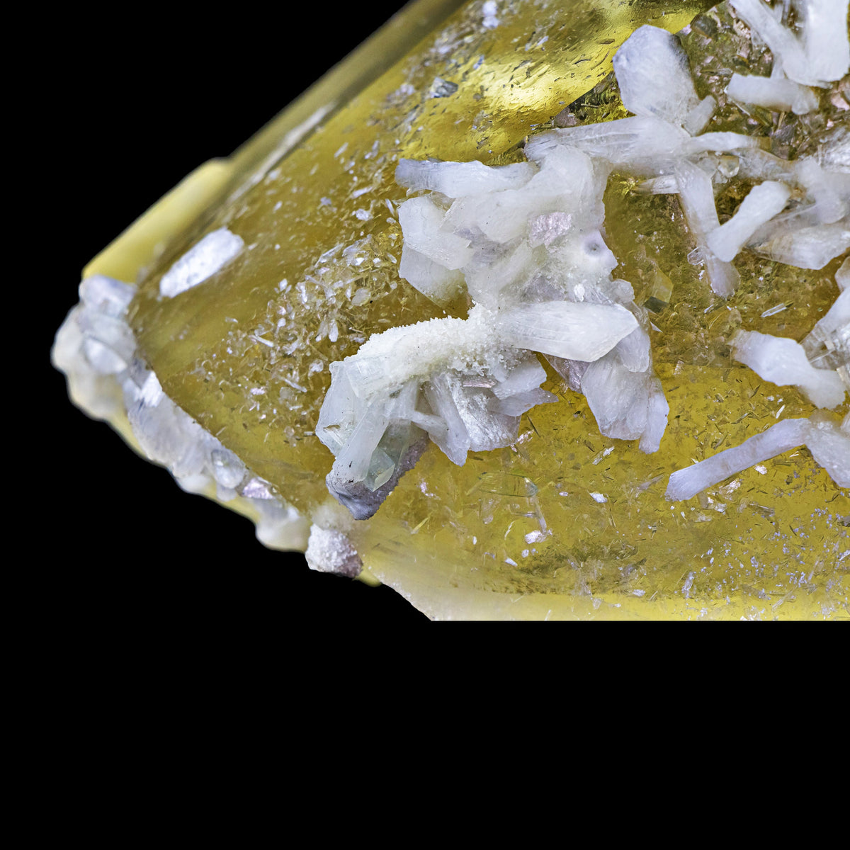 Huge Calcite with White Stilbite Blades - #C54