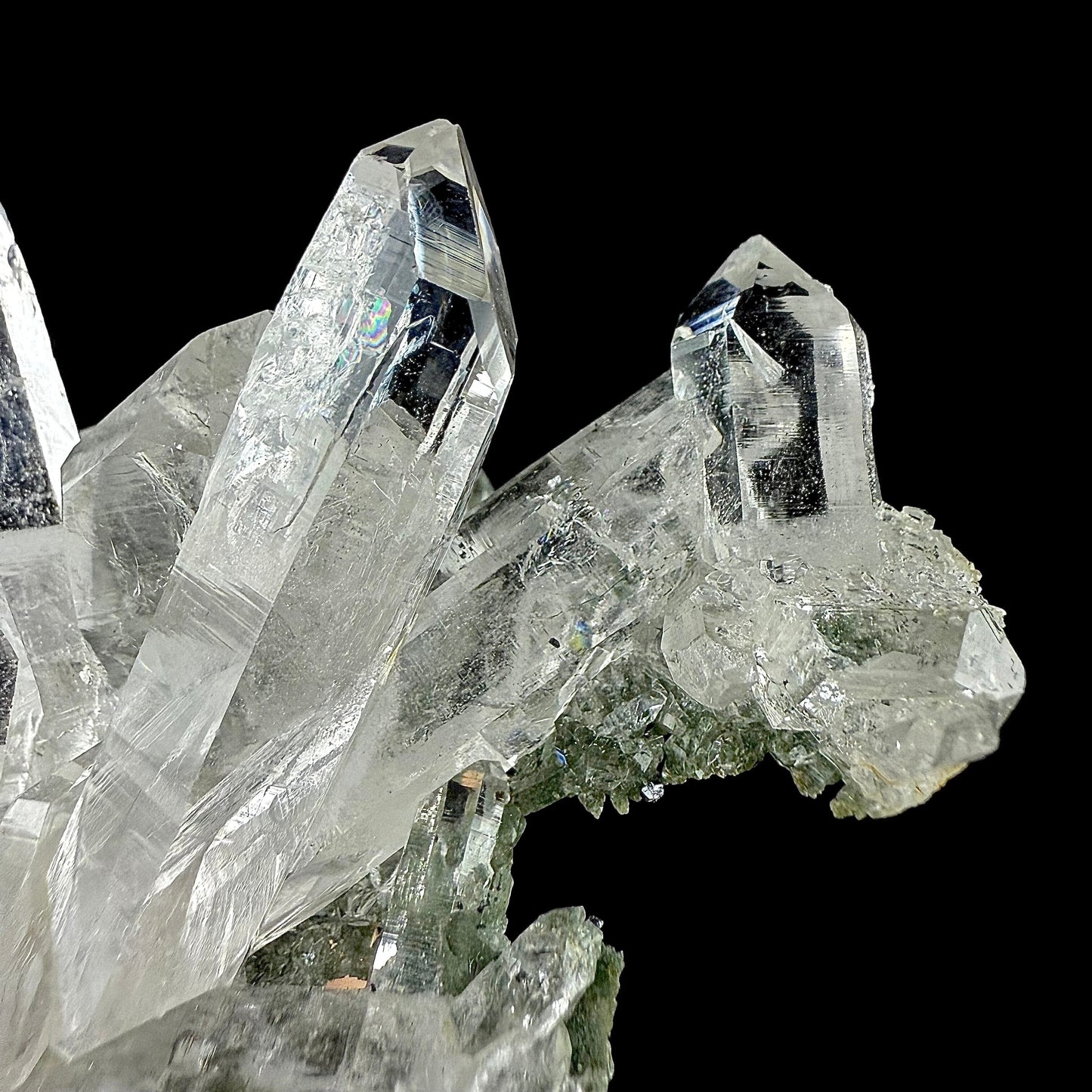 Lemurian Quartz on Chlorite Matrix | SELF STANDING | High Quality Mineral | Indian Mineral | Superb Minerals Quartz Superb Minerals