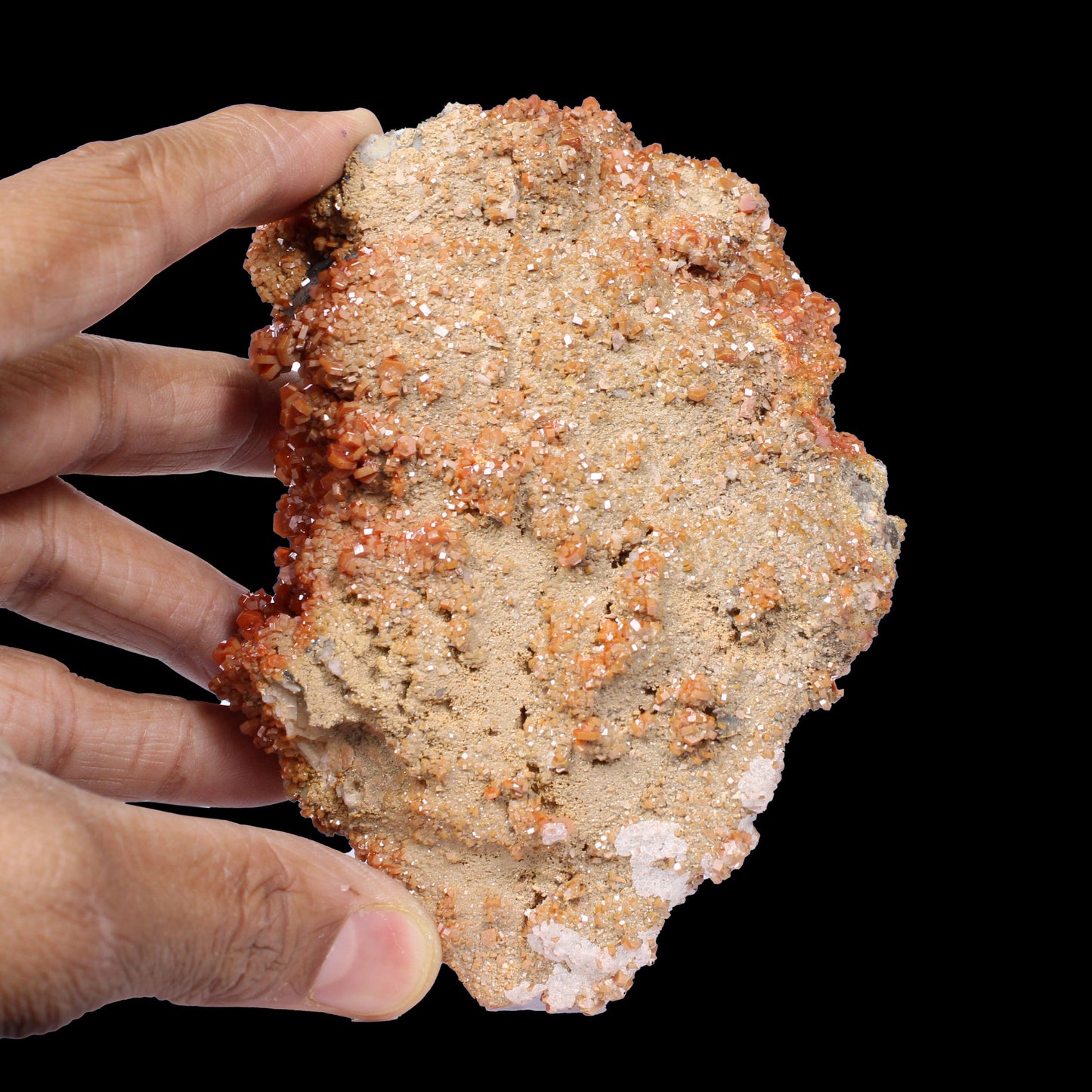 Lustrous Red Vanadinite on Black Blade Barite - Natural Raw Mineral Specimen from Mibladen, Morocco# B 7143 Vanadinite Superb Minerals
