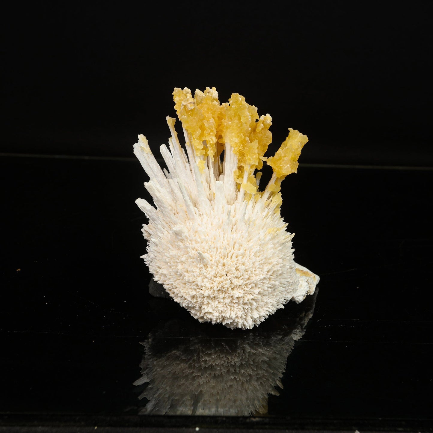 New Find Calcite Layer on Scolecite Natural Mineral Specimen # B 6785 Calcite Superb Minerals 