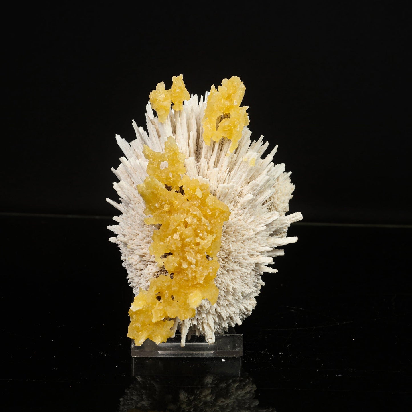 New Find Calcite Layer on Scolecite Natural Mineral Specimen # B 6787 Scolecite Superb Minerals 