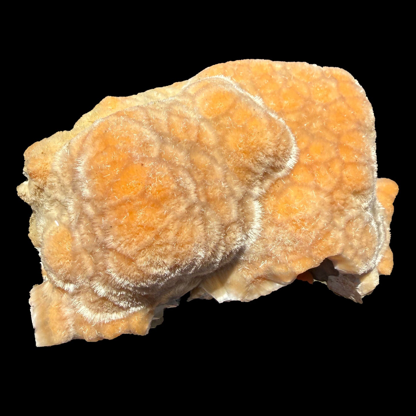 Orange Botryoidal Thomsonite with Needle Mesolite & Calcite – Indian Zeolite Mineral Specimen from Madhya Pradesh # DKT112 Thomsonite Superb Minerals