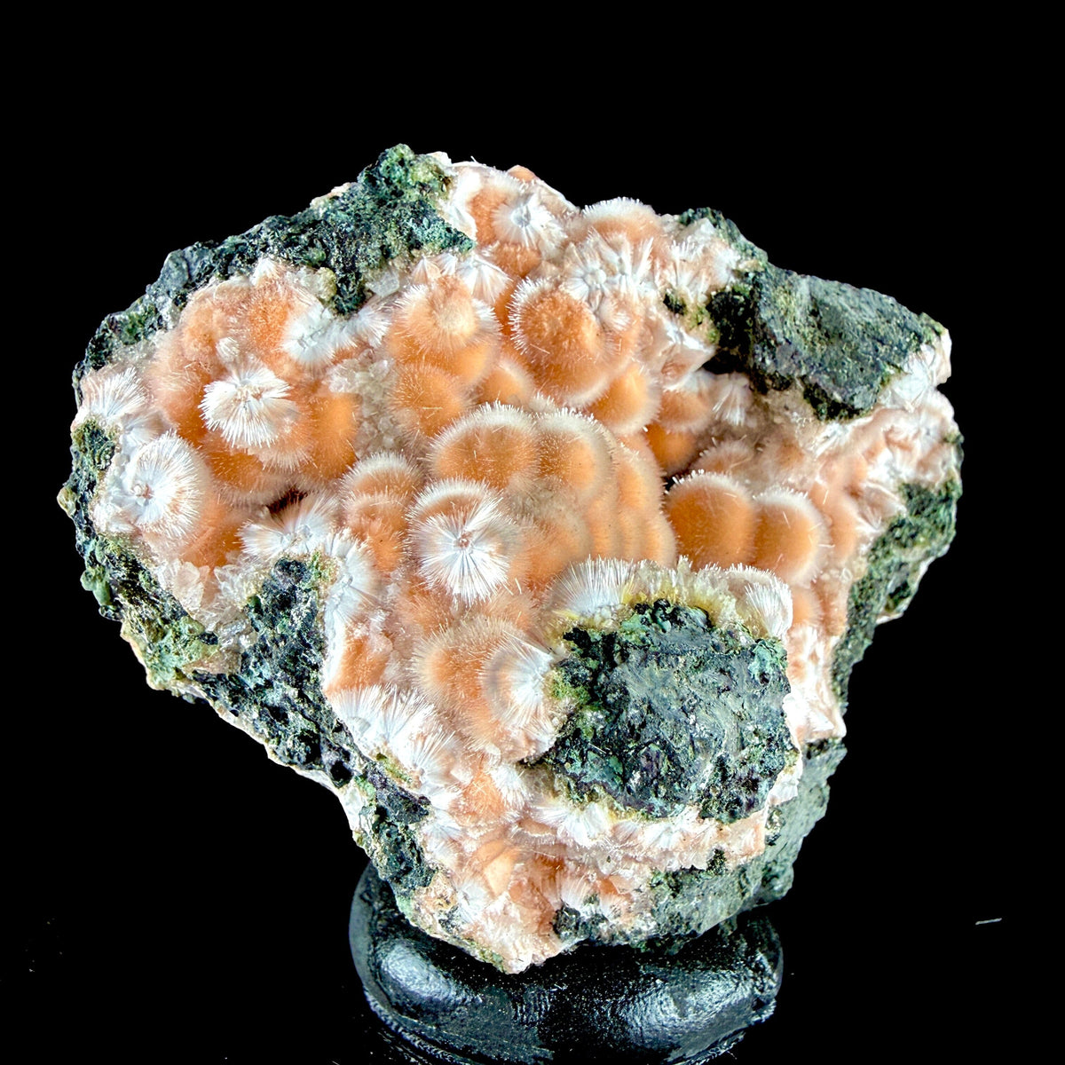 Orange Thomsonite Spheres with Mesolite Needles on Matrix - Collector’s Specimen from Deshgaon, Madhya Pradesh # DKT164 Thomsonite Superb Minerals