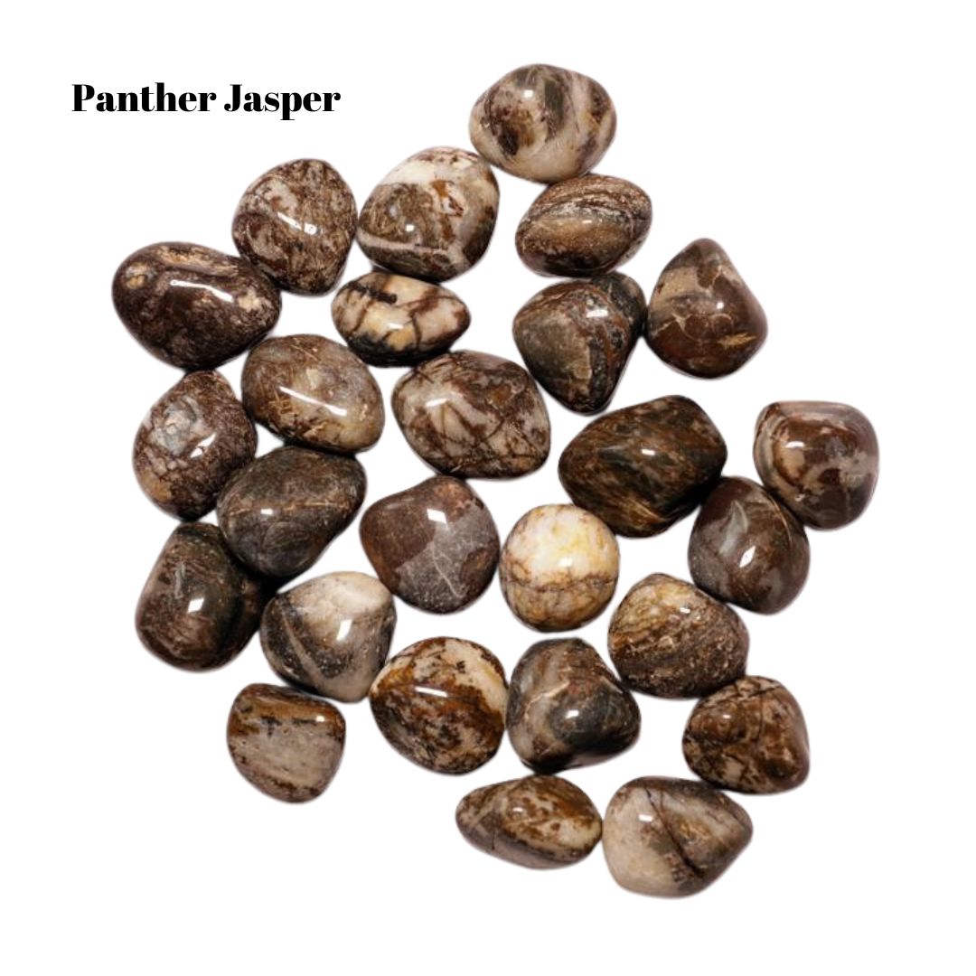 Panther Jasper Tumbled Stones – 1 lb Bulk Bag | Polished Brown & Cream Patterned Jasper Tumble Superb Minerals