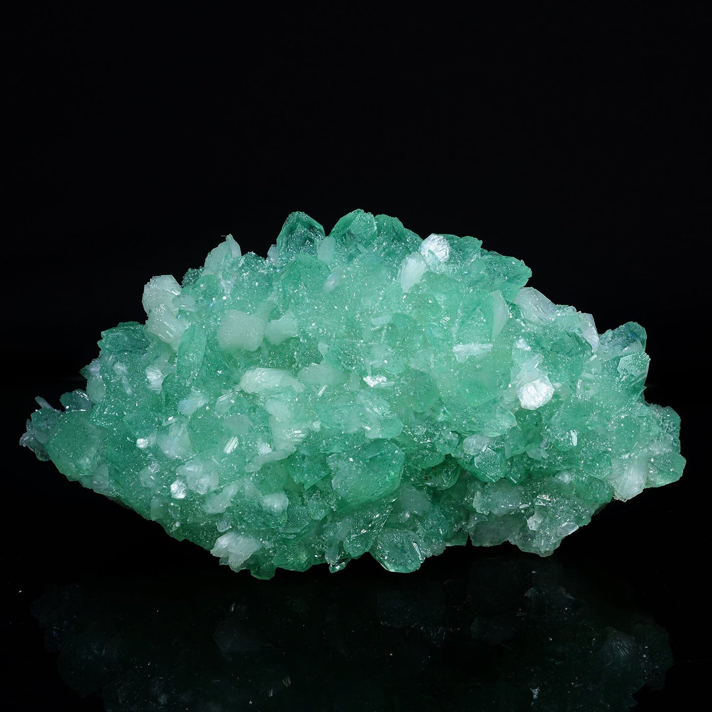 Rare Green Apophyllite with Mordenite Natural Mineral Specimen #TC24-16 Apophyllite Superb Minerals