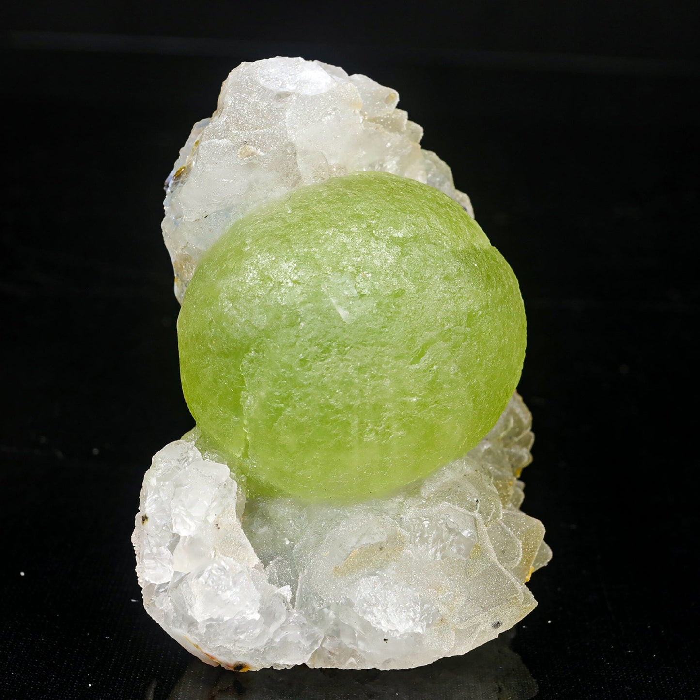 Rare Green Botryoidal Fluorites Natural mineral Specimen # B 7026 Fluorite Superb Minerals