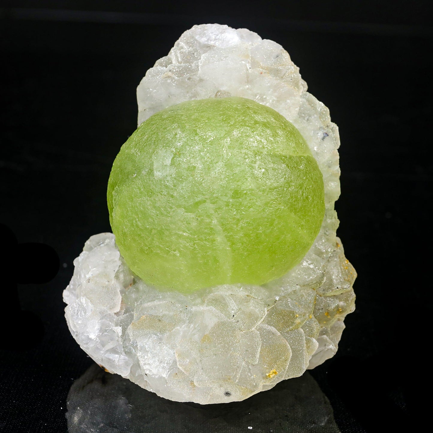 Rare Green Botryoidal Fluorites Natural mineral Specimen # B 7026 Fluorite Superb Minerals