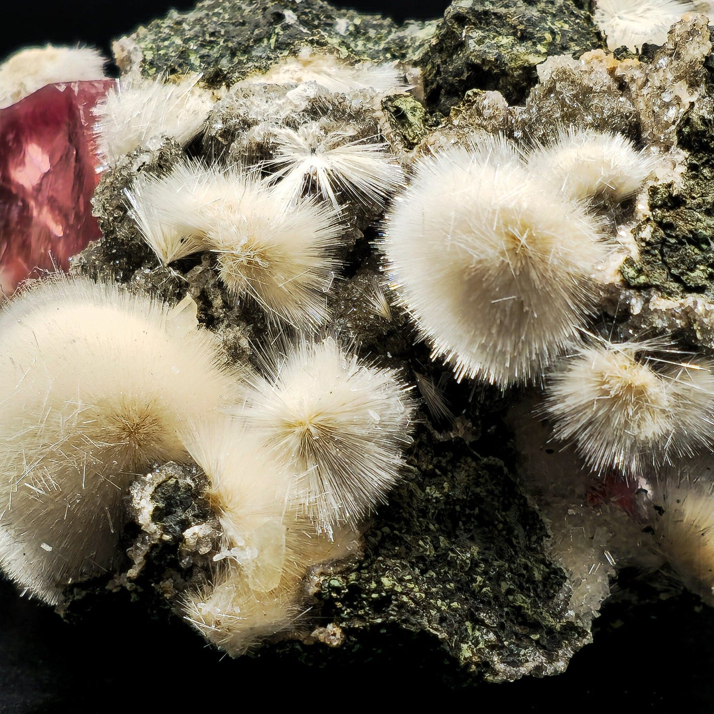 Rare Huge Moldy Raspberry Calcite with Mesolite Natural Mineral Specimen. # GG5 Calcite Superb Minerals