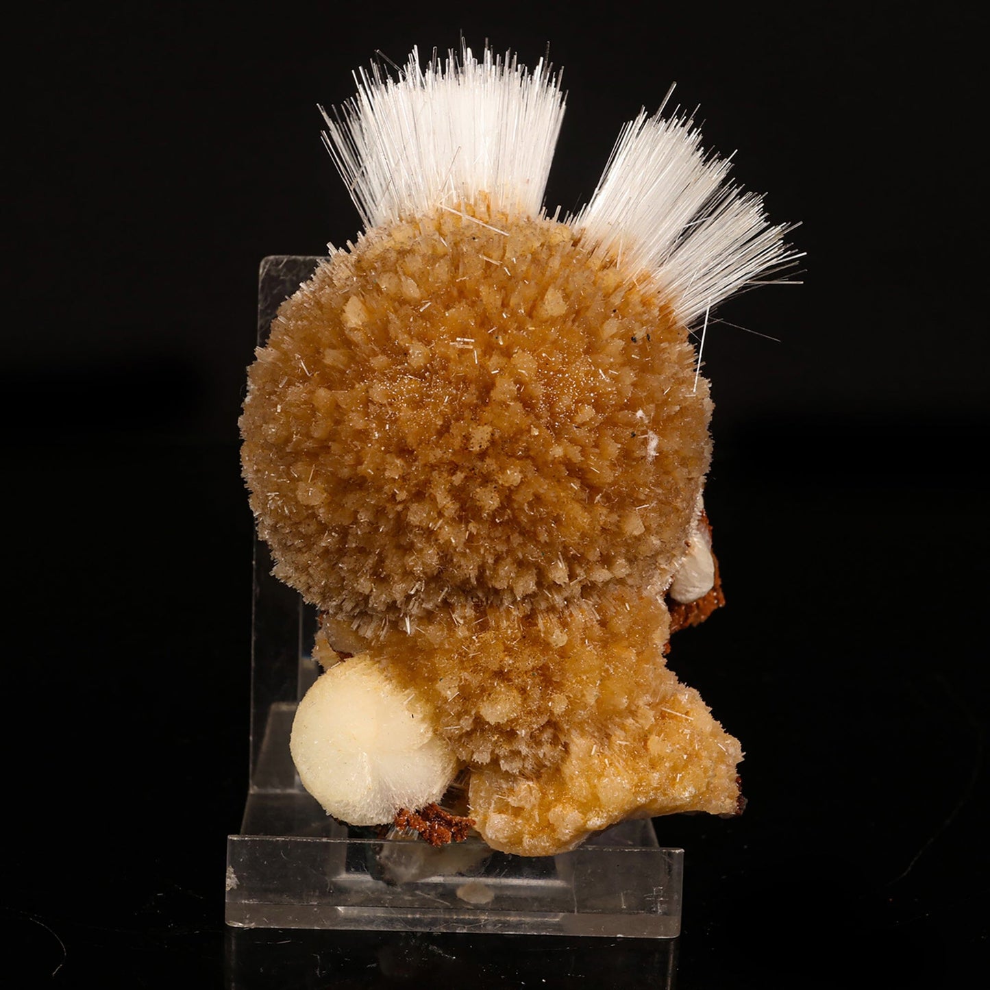 Rare New Find Thomsonite with Mesolite Natural Mineral Specimen # B 6815 Thomsonite Superb Minerals