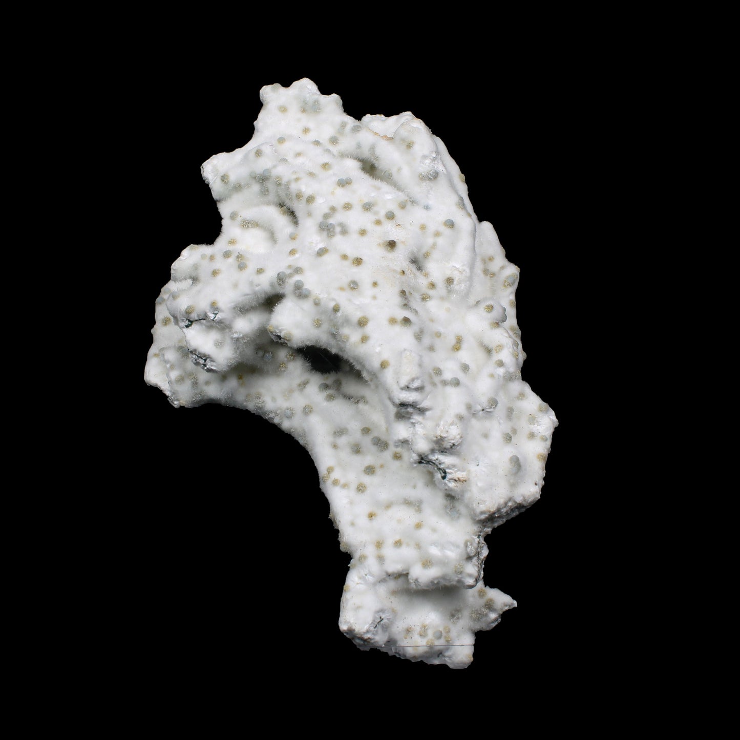 Rare Okenite with Chalcedony – Fibrous Indian Zeolite Mineral Specimen # G 7140 Okenite Superb Minerals