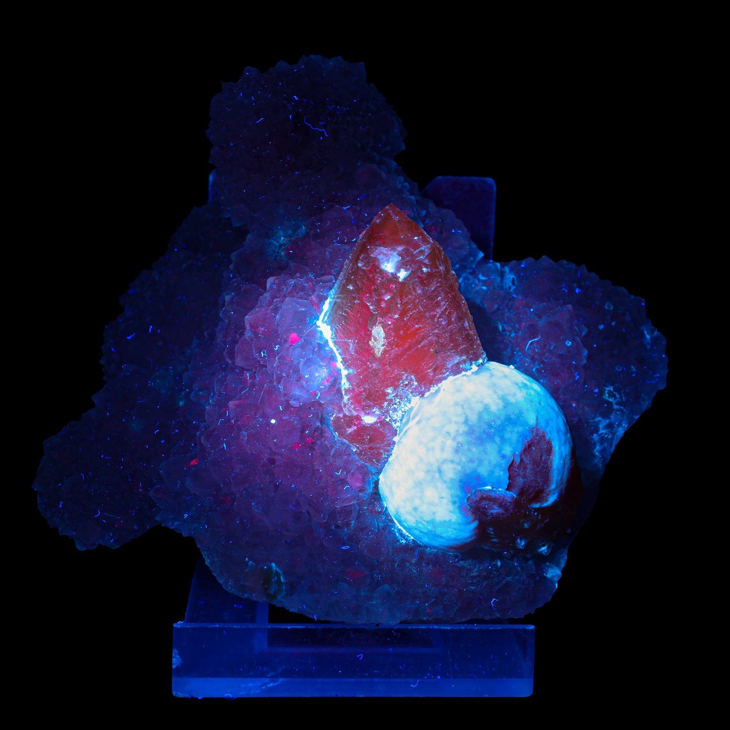 Rare Red Botryoidal Fluorite with Dog Tooth UV Calcite, Natural Mineral Specimen # B 6844 Fluorite Superb Minerals