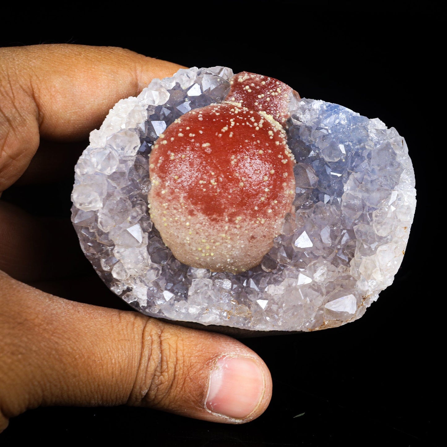 Rare Red Botryoidal Fluorites Natural mineral Specimen # B 7000 Fluorite Superb Minerals