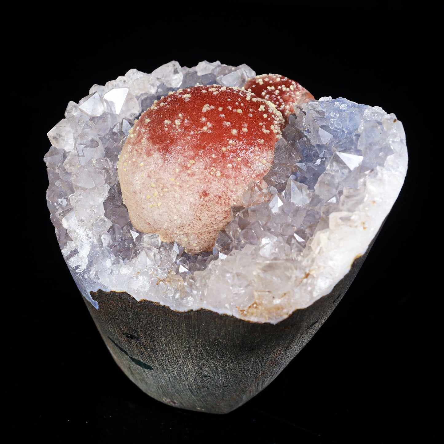 Rare Red Botryoidal Fluorites Natural mineral Specimen # B 7000 Fluorite Superb Minerals