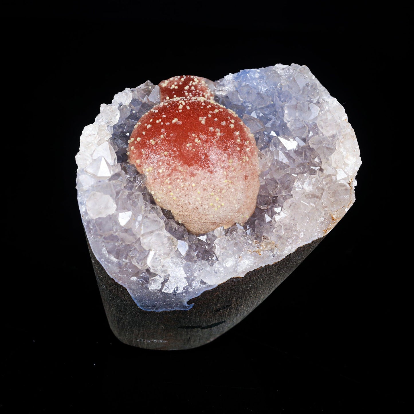 Rare Red Botryoidal Fluorites Natural mineral Specimen # B 7000 Fluorite Superb Minerals