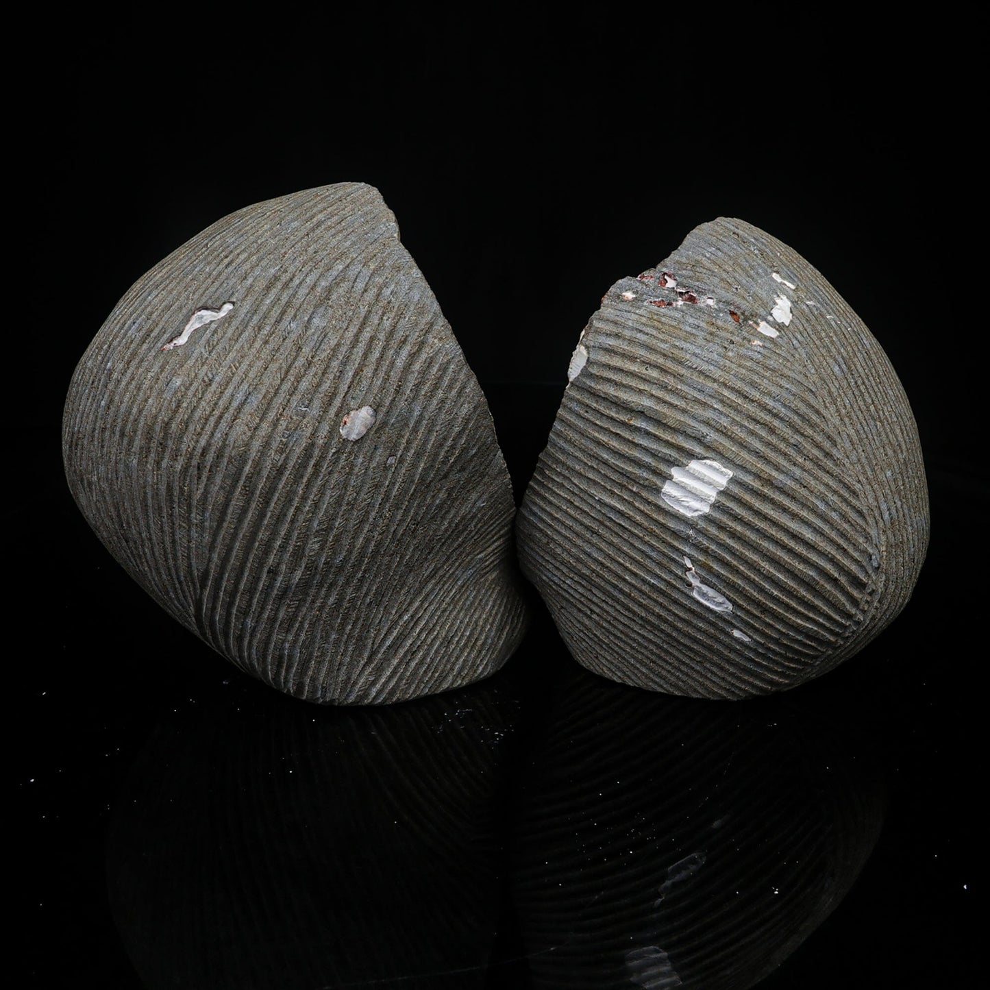 Scolecite Spray Inside Complete Geode Natural Mineral Specimen # B 7029 Scolecite Superb Minerals