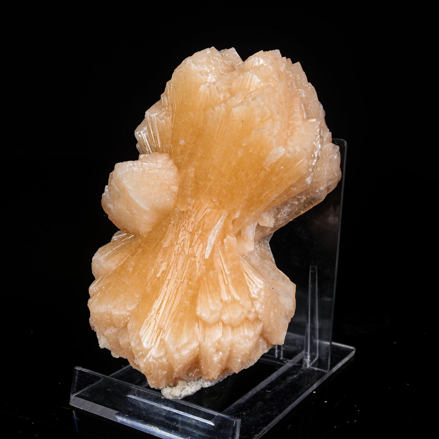 Stilbite Bow Natural Mineral Specimen